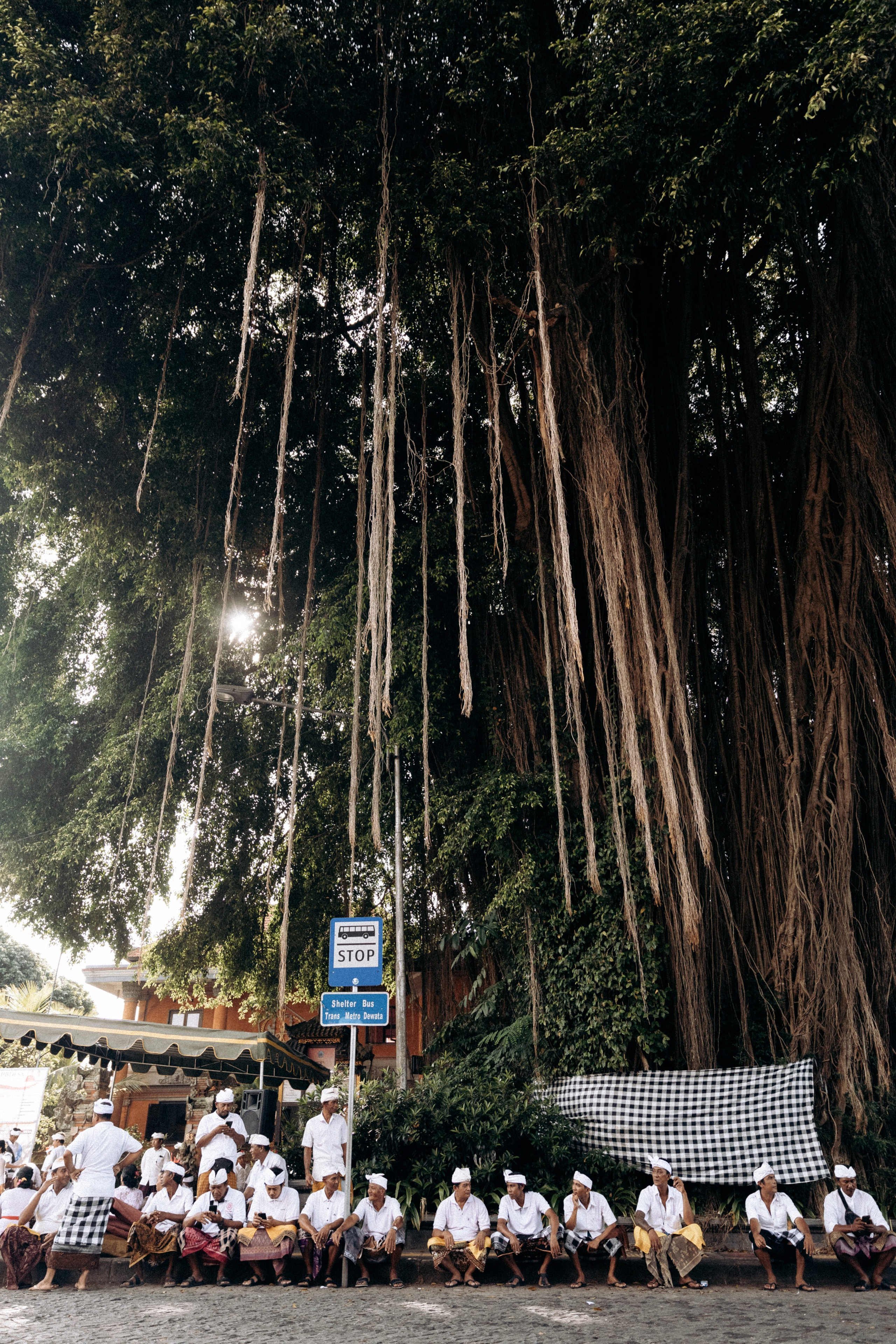 Bali. Katerina Spekhova