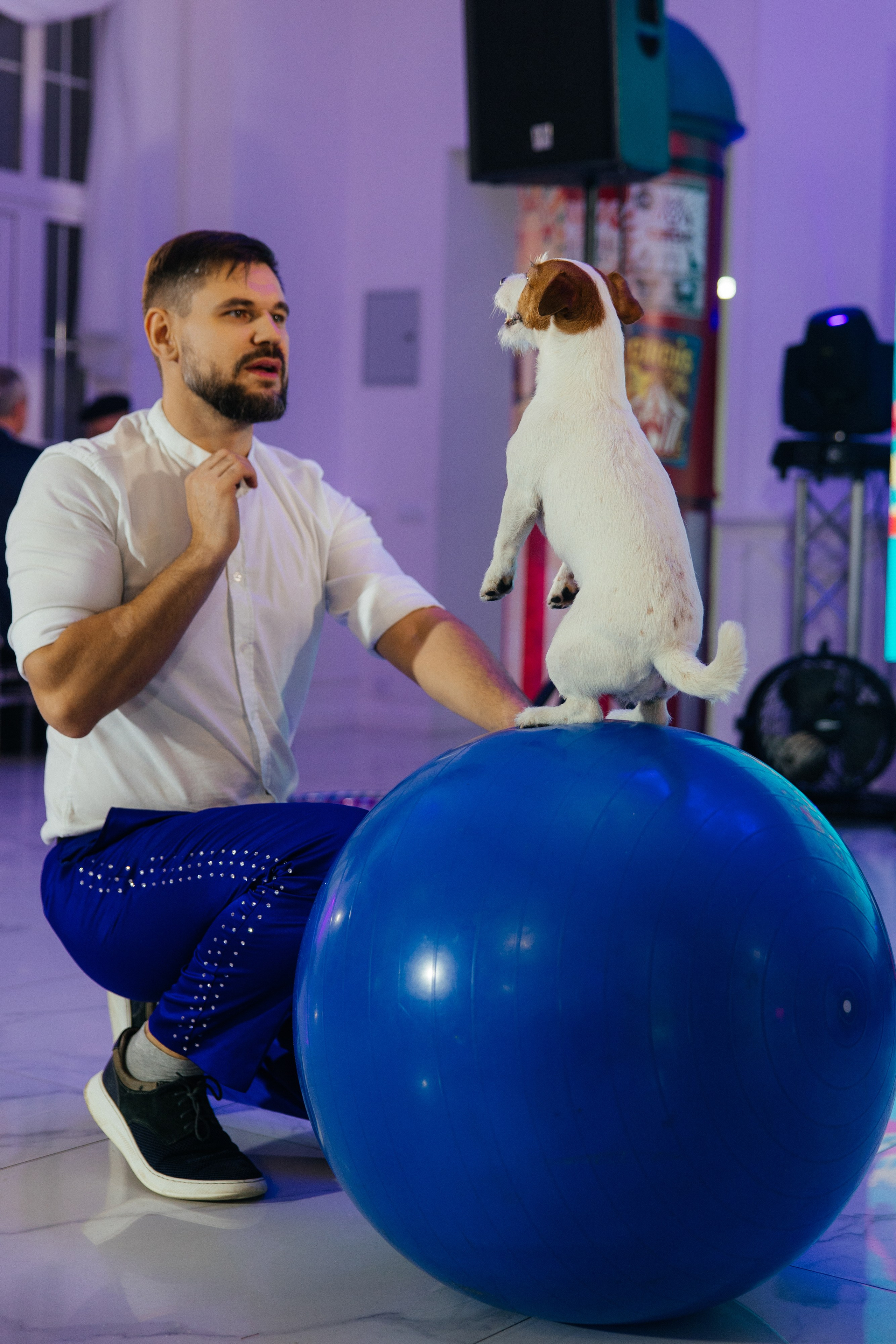 Корпоратив Цирк. Свадебный фотограф Минск РБ