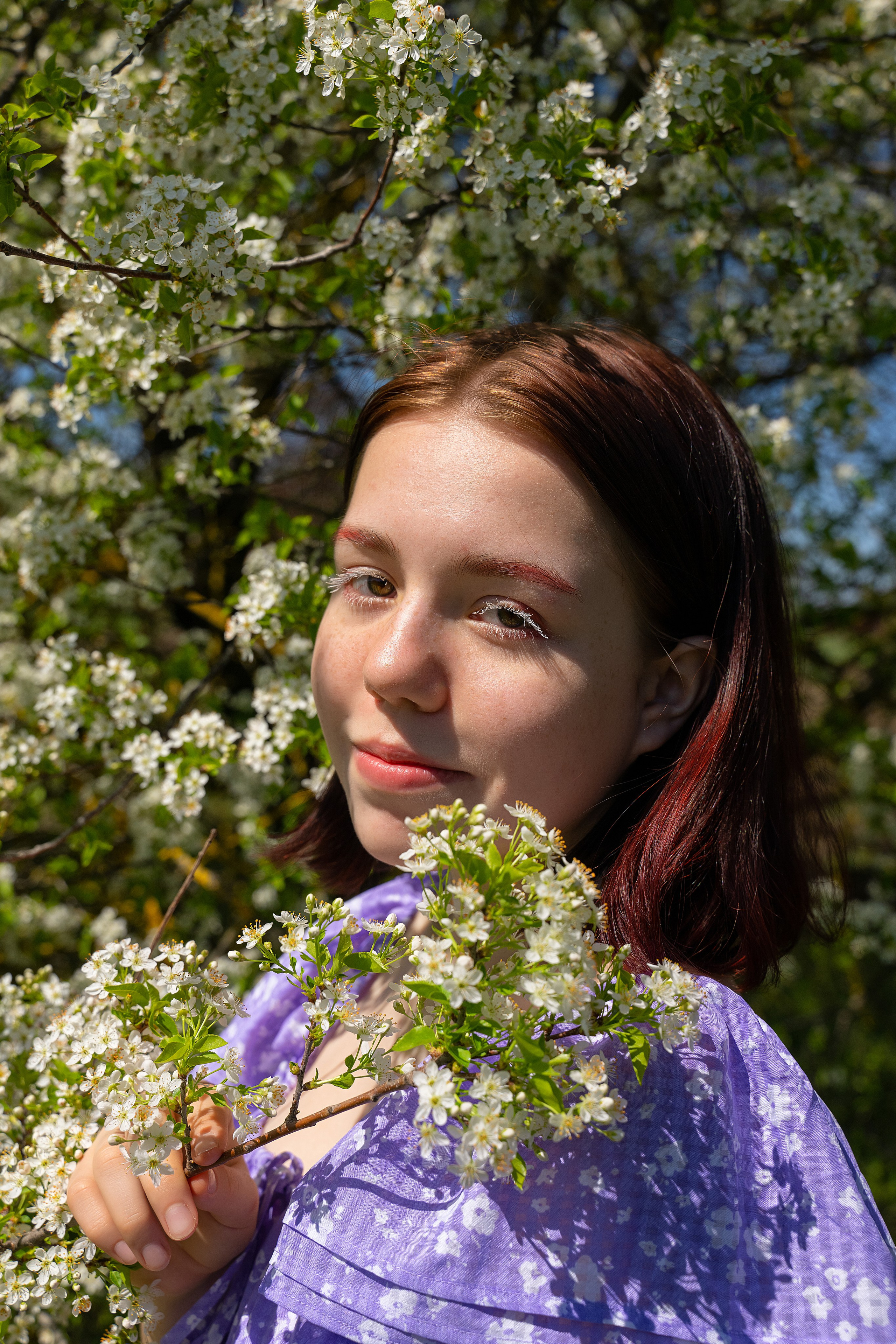 Смешанное цветение и зелень. Главная