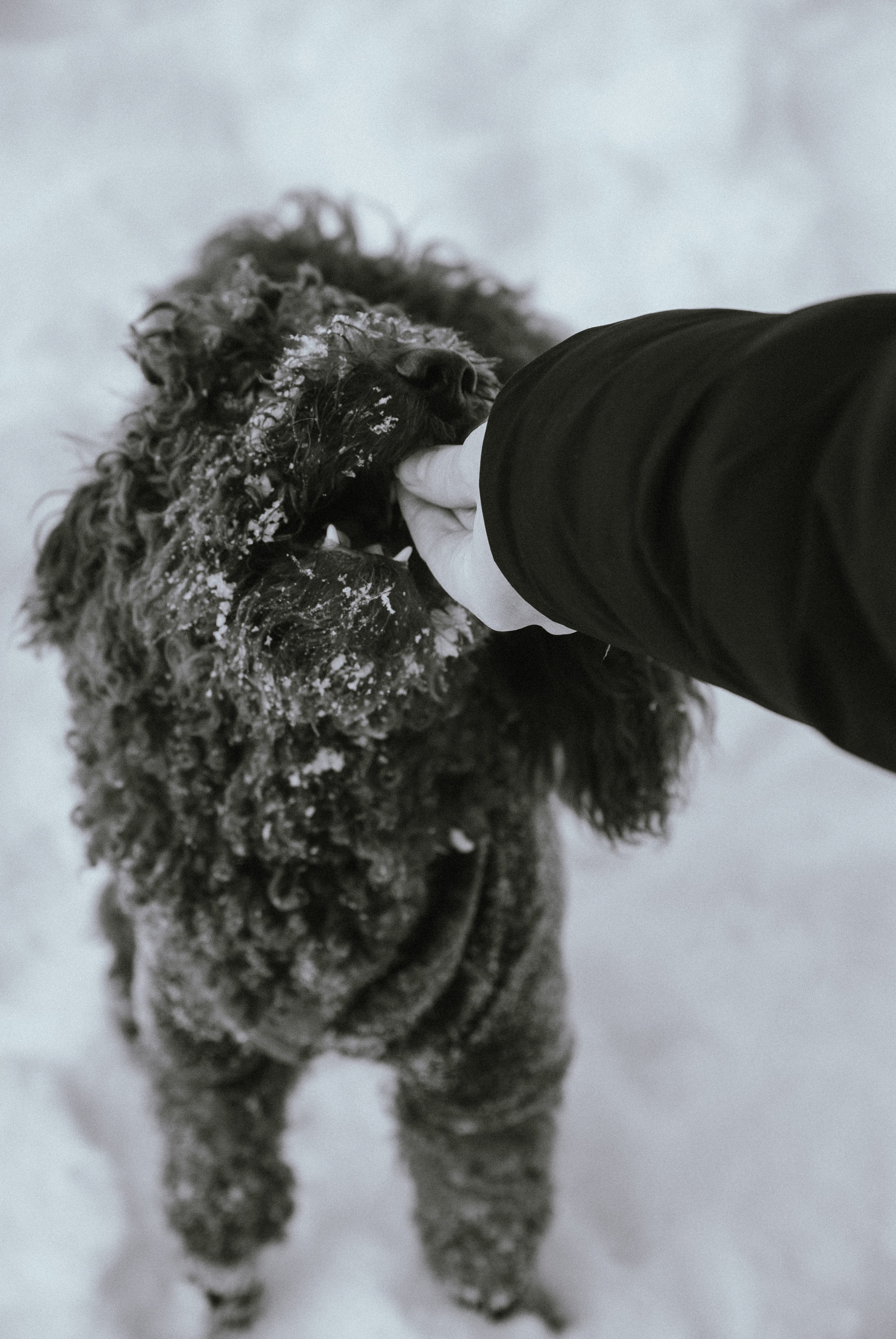 Зоопарк в моём багаже. Кошенкова Мария: портретный и репортажный фотограф. Санкт-Петербург