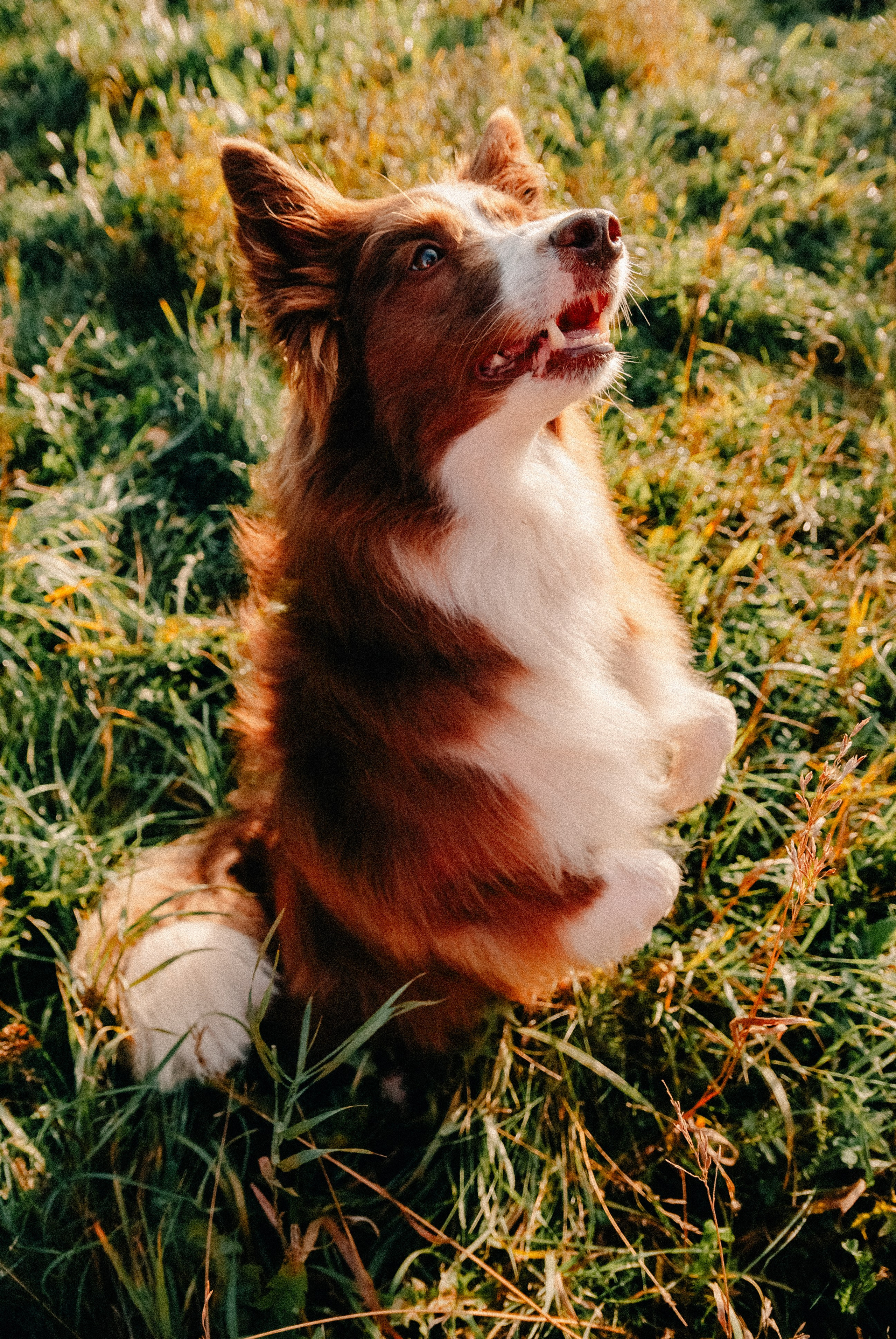 Зоопарк в моём багаже. Кошенкова Мария: портретный и репортажный фотограф. Санкт-Петербург
