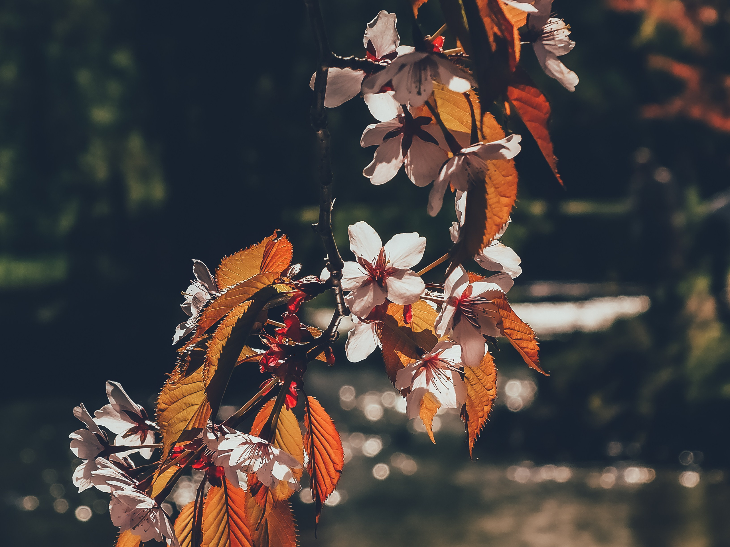 Fuji. Портретный фотограф DanilNabody