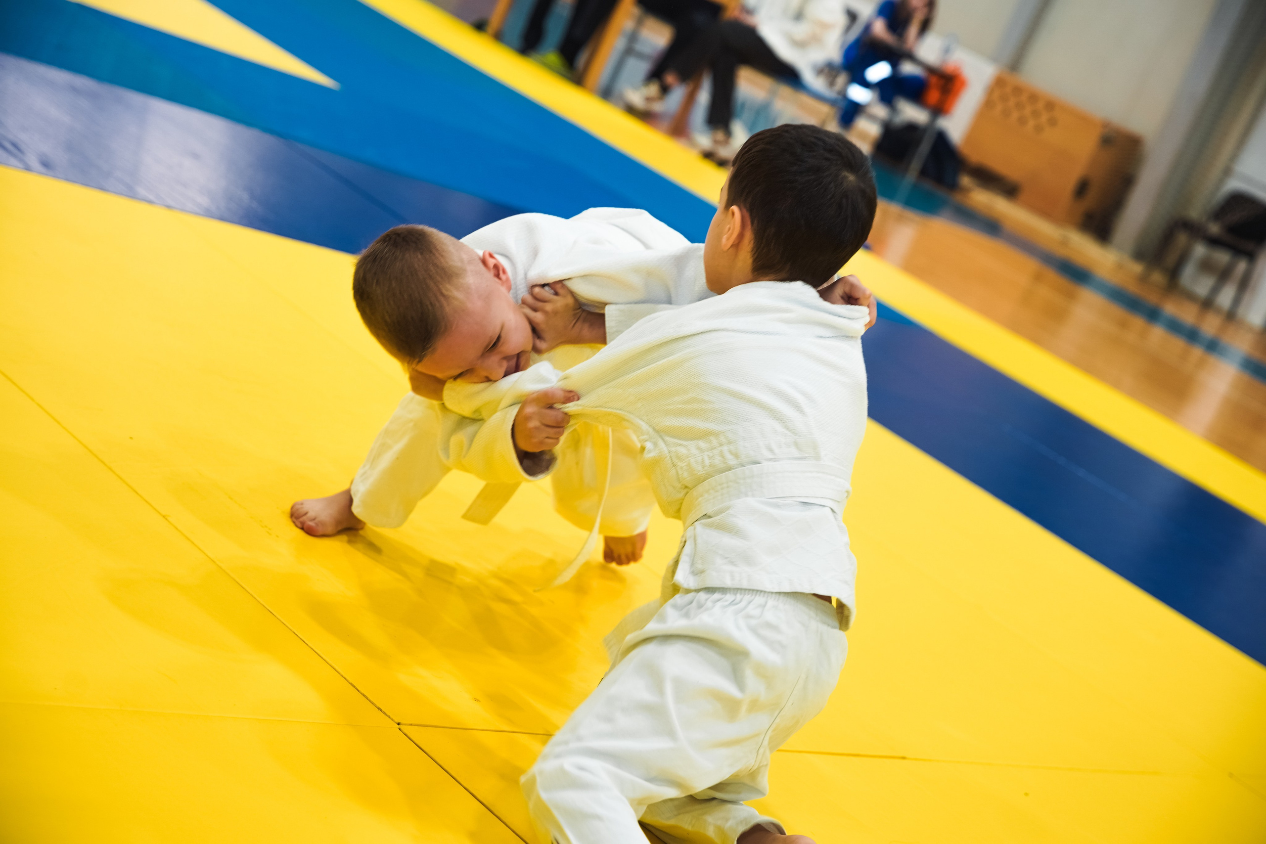 Самбо. Портретный и репортажный фотограф