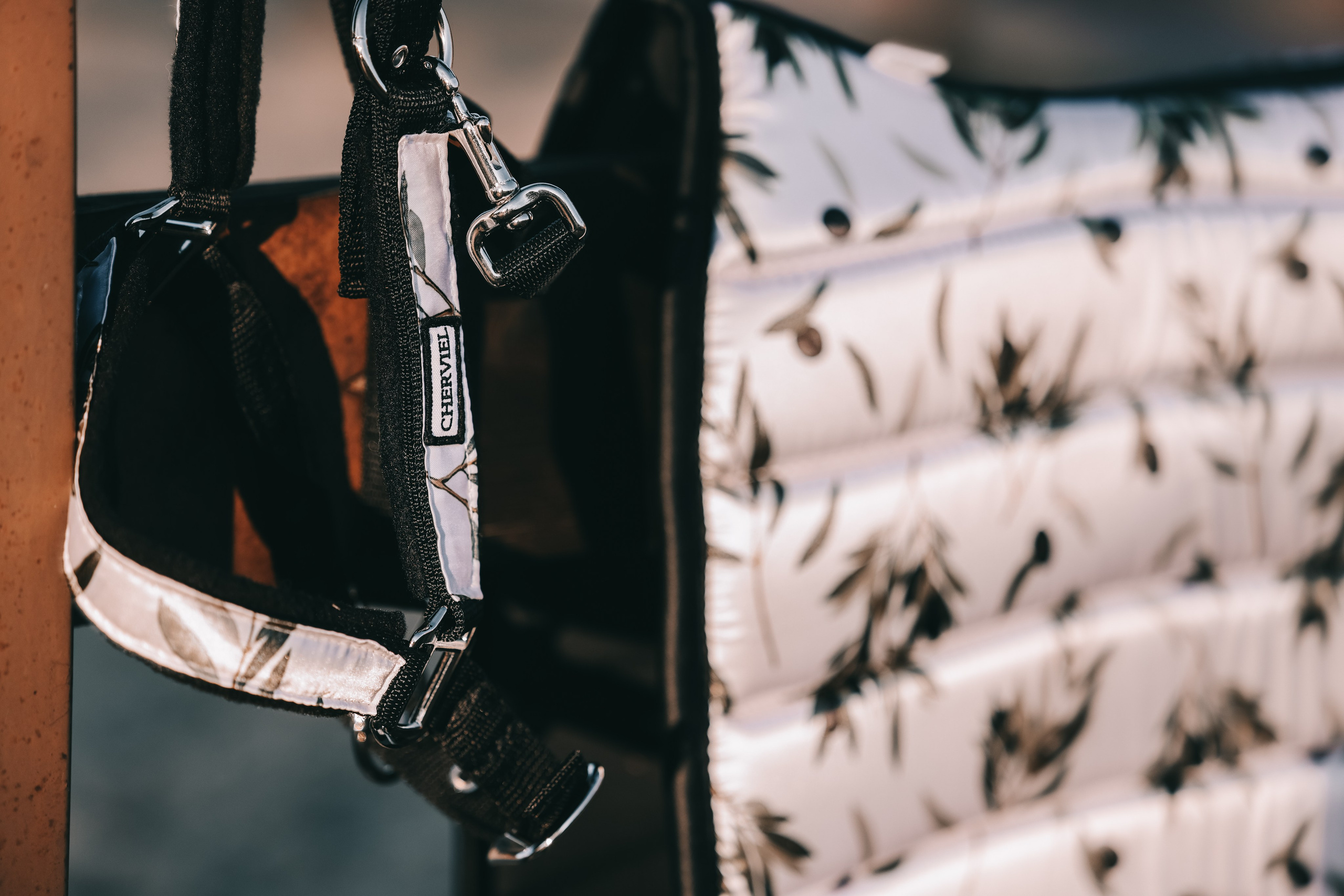 КСК Ждановское фотосессия. Фотосессии с лошадьми