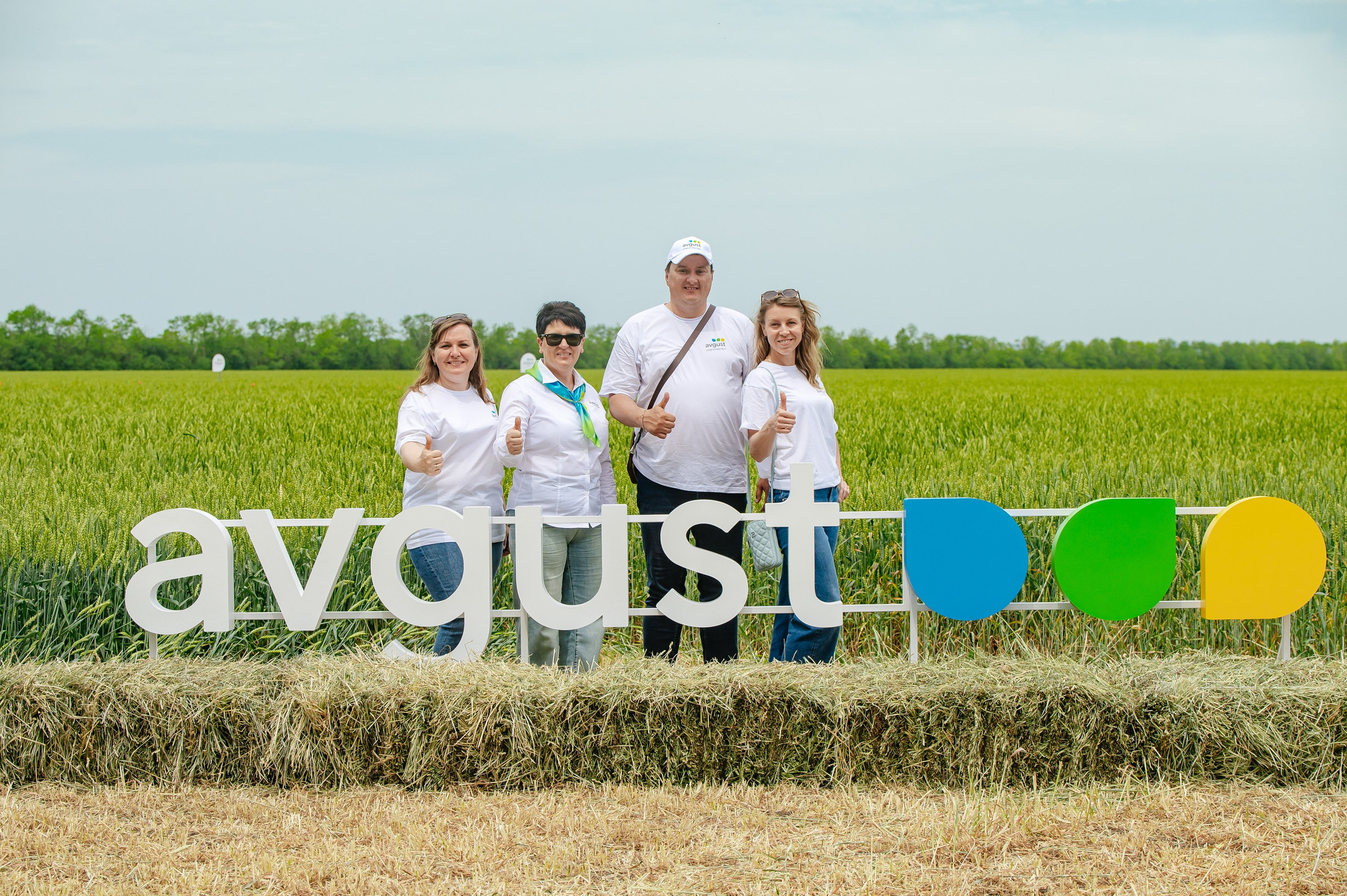 День поля. Главная