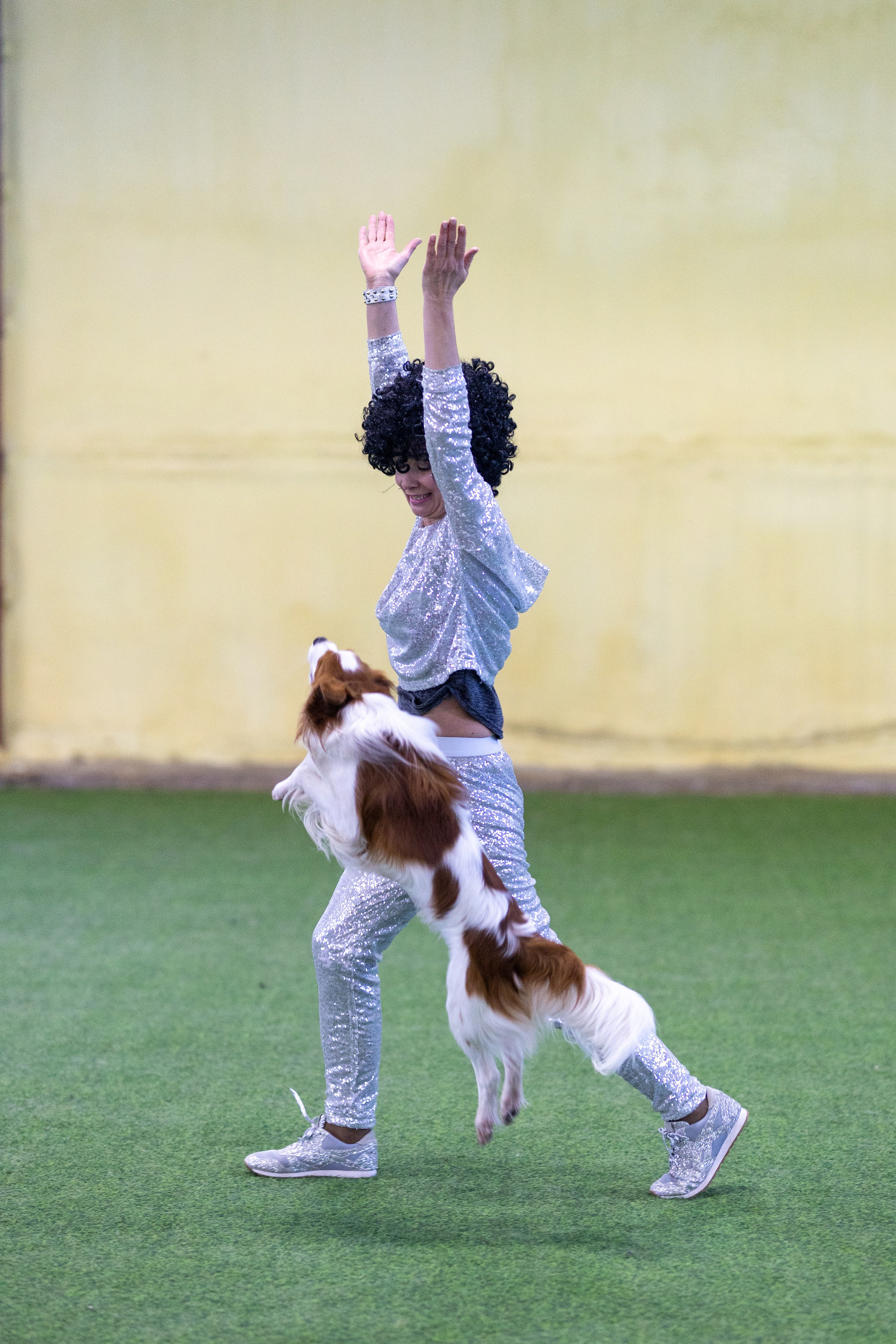 Соревнования танцы. Фотограф-анималист в Москве Кириллова Татьяна
