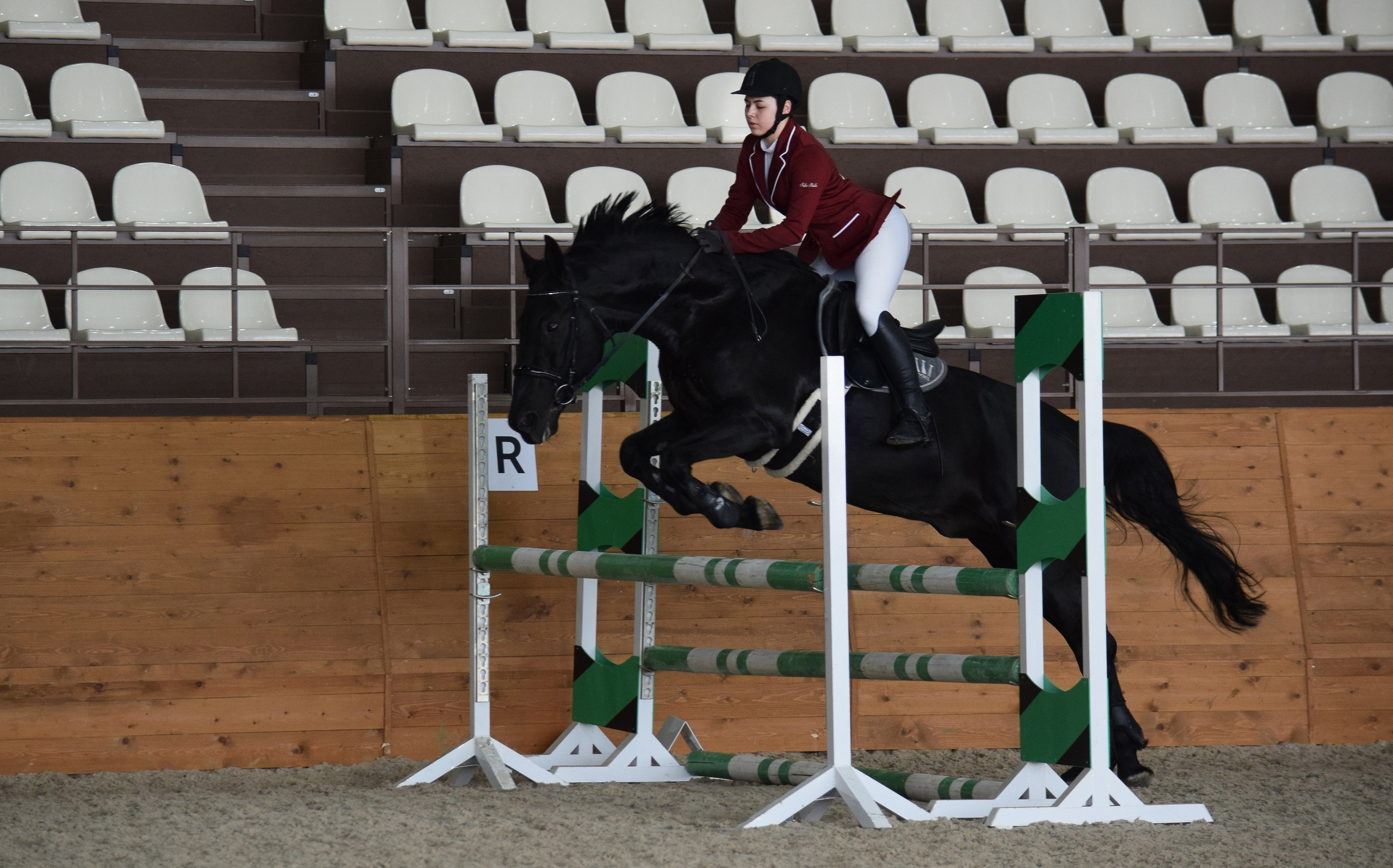 Конкур Гермес. Конный фотограф в Саратове Юлия Иванова