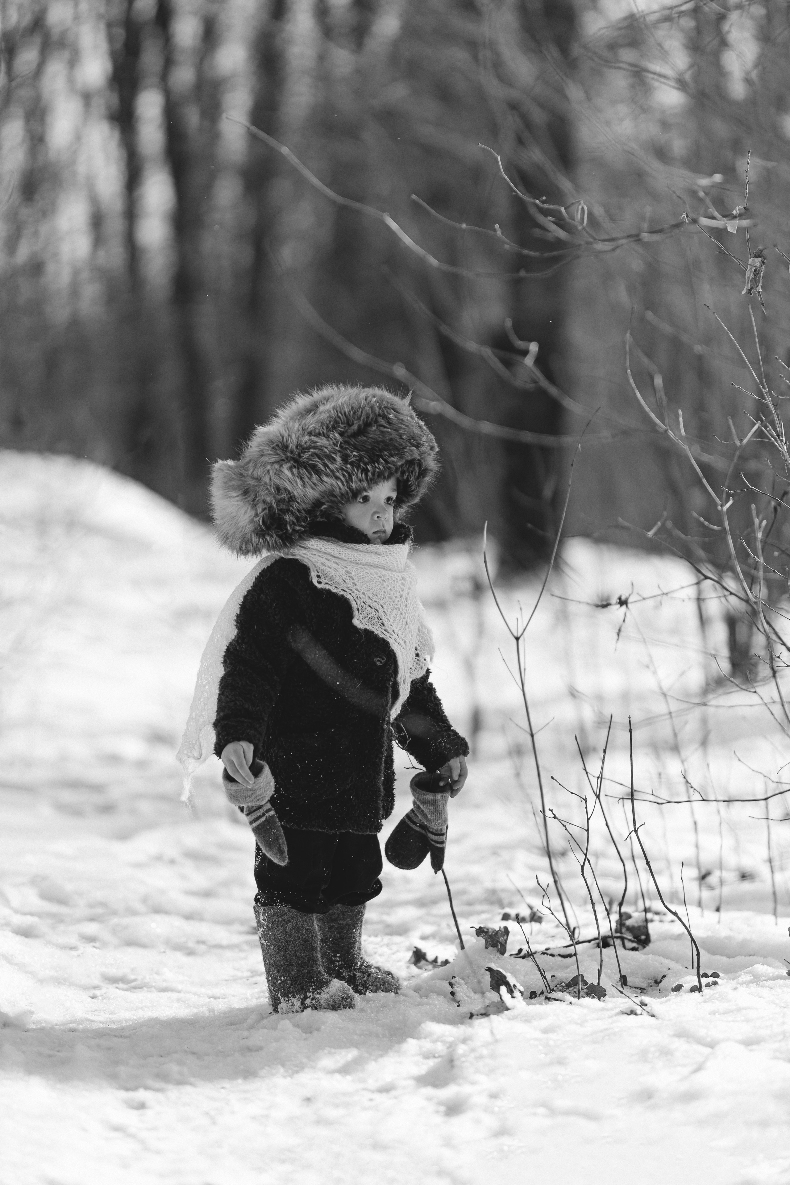 Филипок. Фотограф Таинств Крещения и Венчания в г. Курске