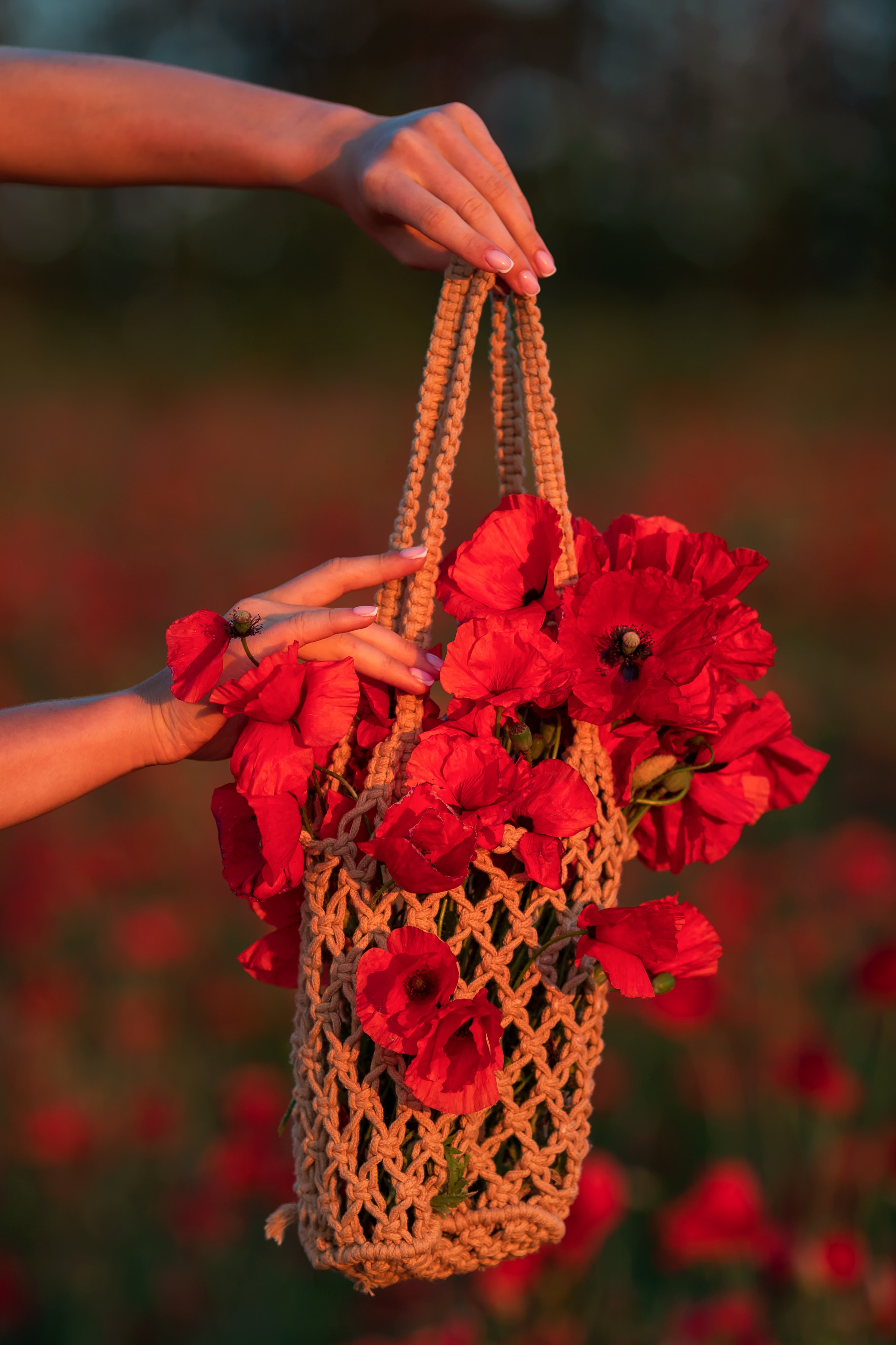 ФОТОПРОЕКТ «МАКИ». ФотоХудожник Харитонова Ирина г. Санкт-Петербург