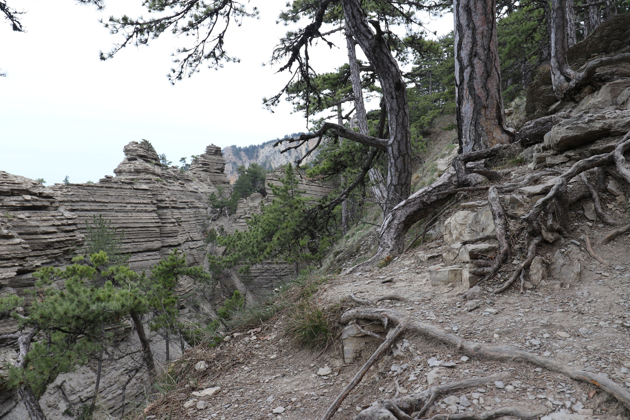 Крым. ЮБК (Бахчисарай, Кастрополь, Таракташская тропа). Май 2021. Путешественник-фотограф из Санкт-Петербурга Татьяна Свистулина