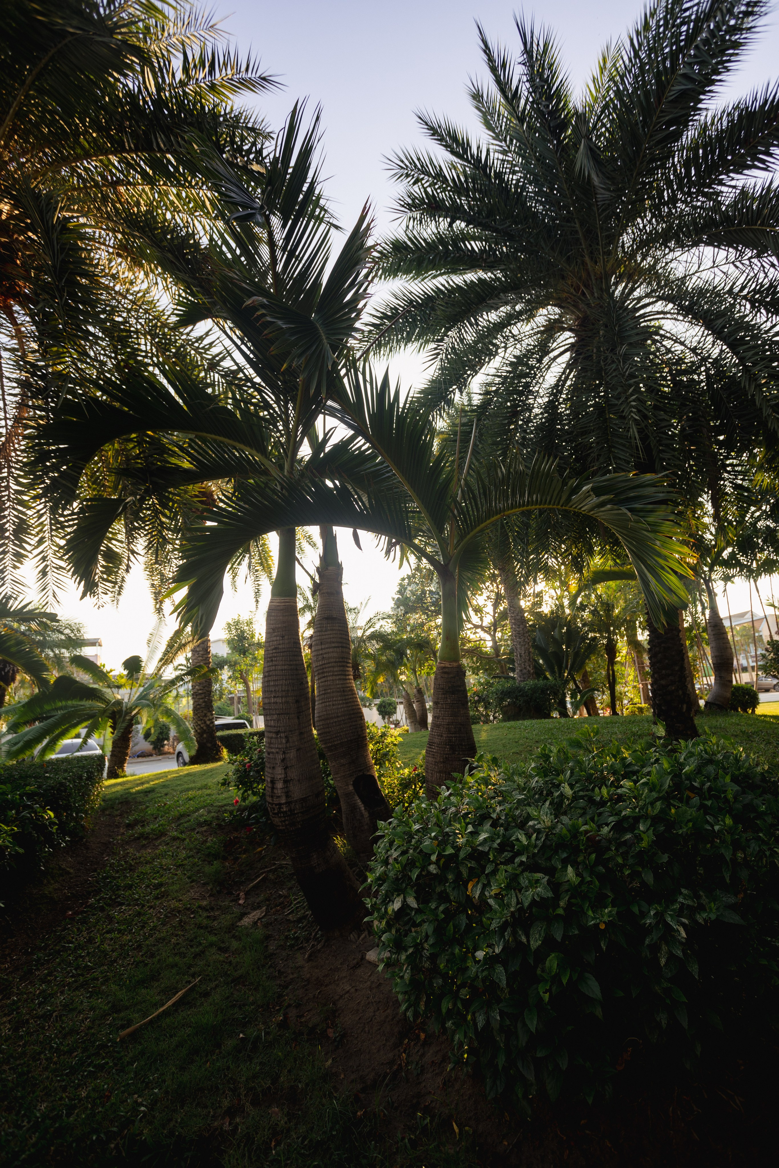 Samut Prakan. Фотограф Сонкина Татьяна