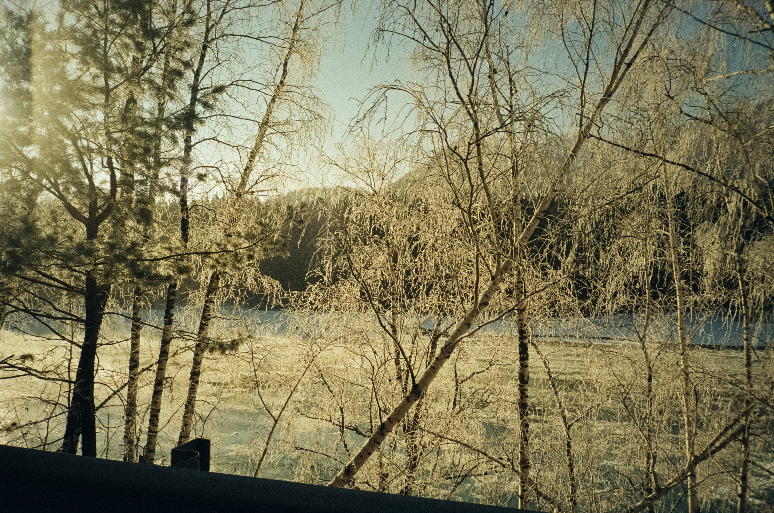 Кедровый остров и Семинская поляна в солнечный день. Фотограф-документалист Мария Осокина