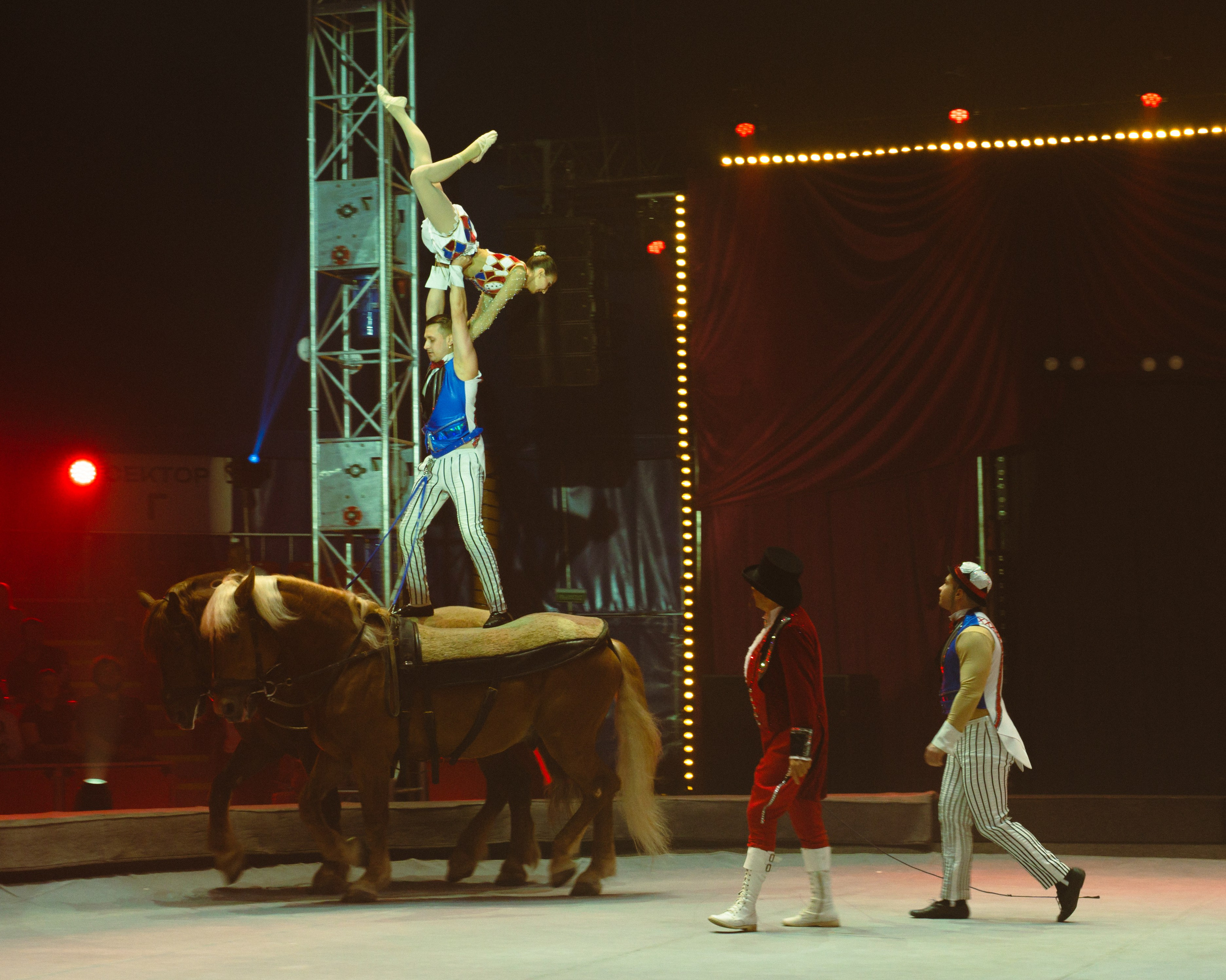 Circus. Фотограф в Москве Шалышко Ангелина