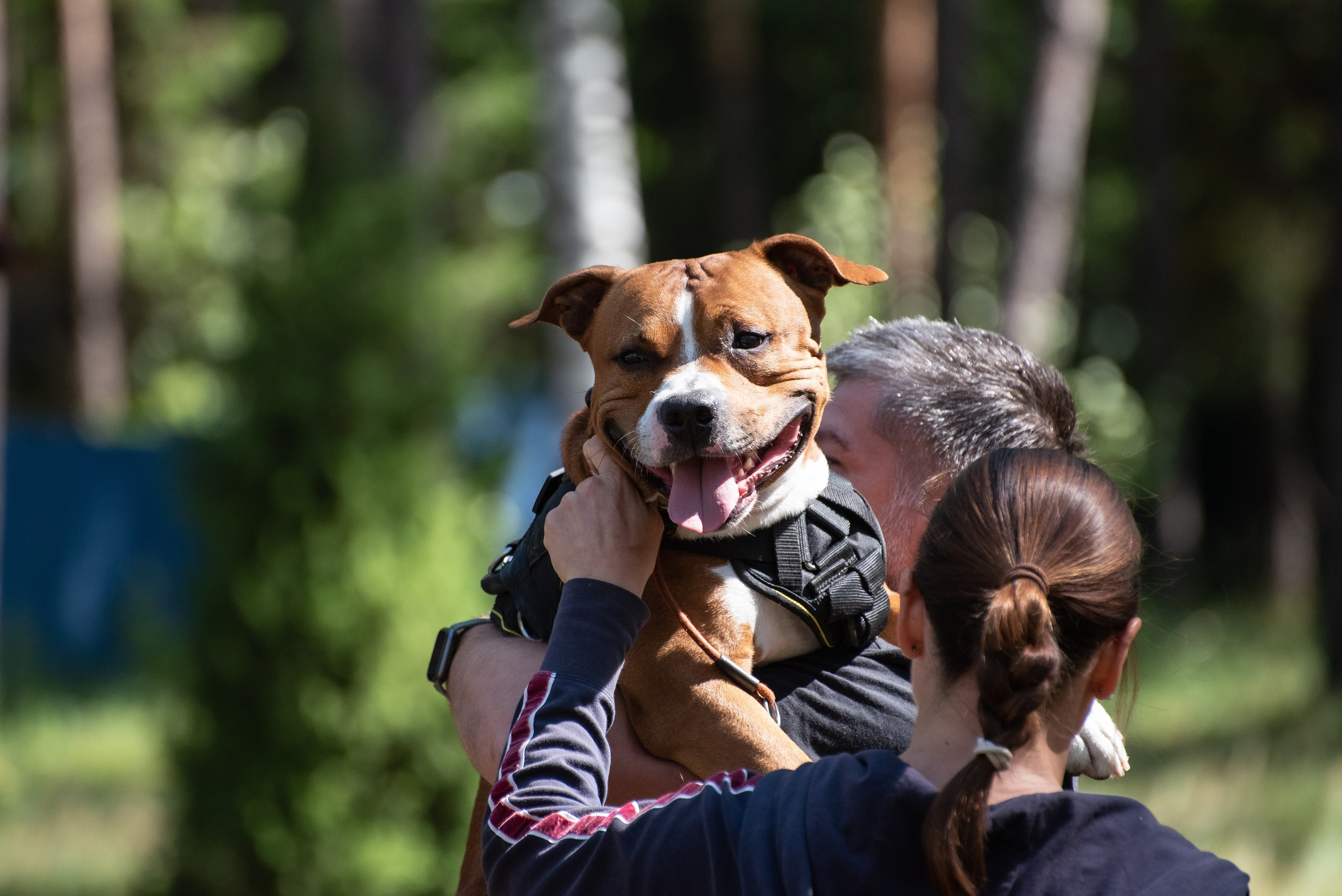 Всплеск эмоций 2023 Кинологический фестиваль. Фотограф Макс Огурцов в Нижнем Новгороде