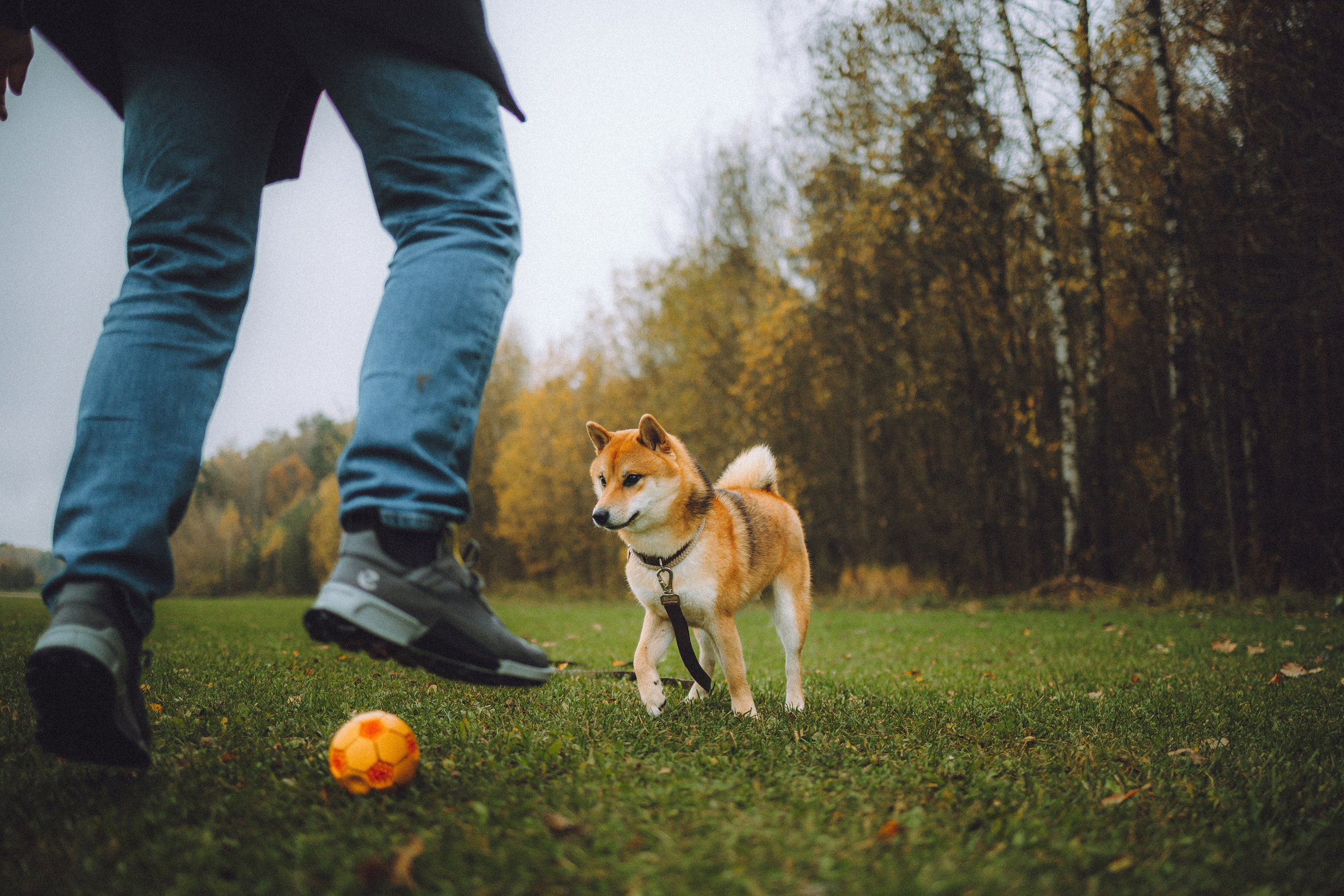 Настя, Юра и Скай