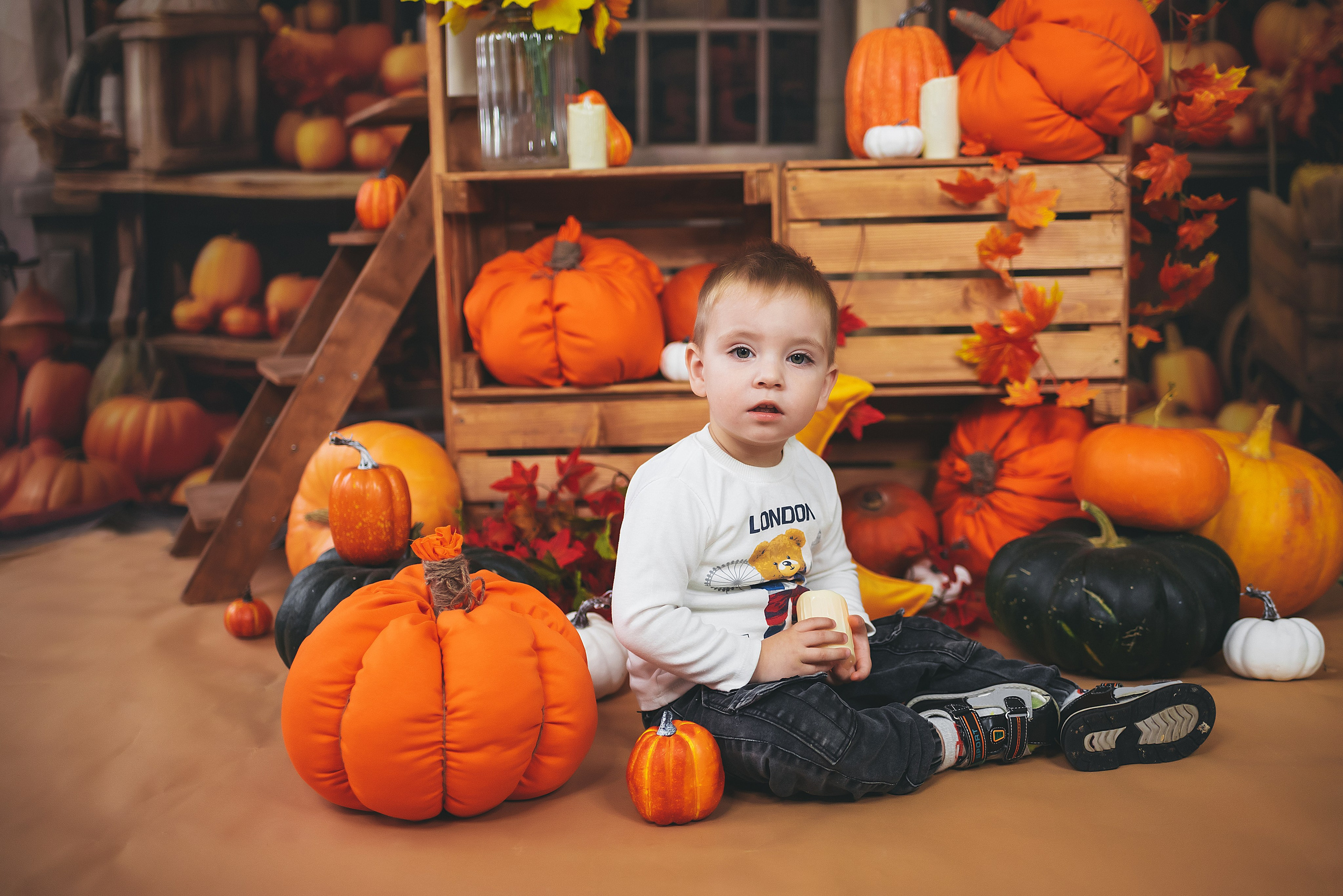 ПРОЕКТ осенний «Тыковки». Семейный и детский фотограф в Тейково