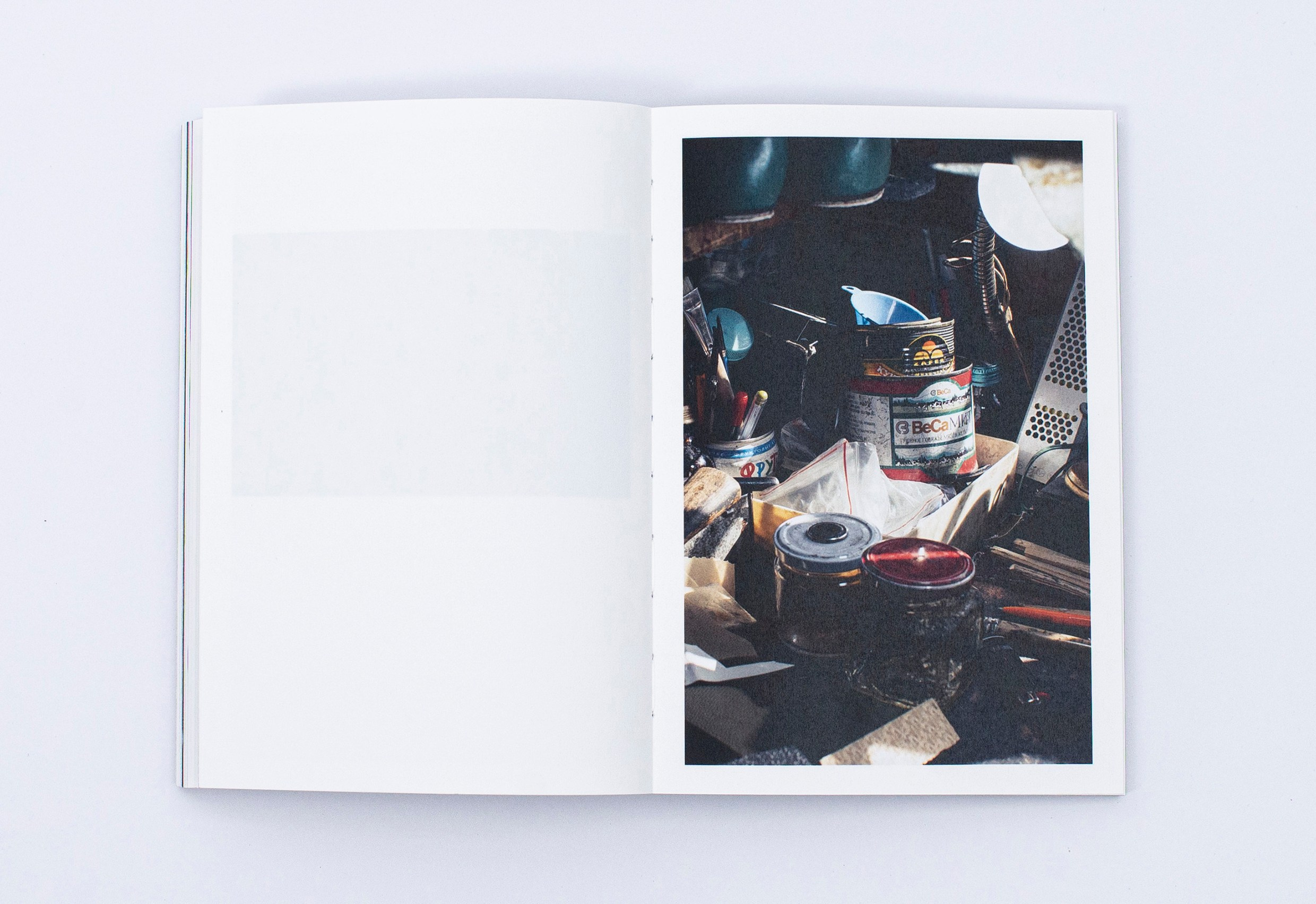 Книга. Фотограф в Москве Алейникова Евгения