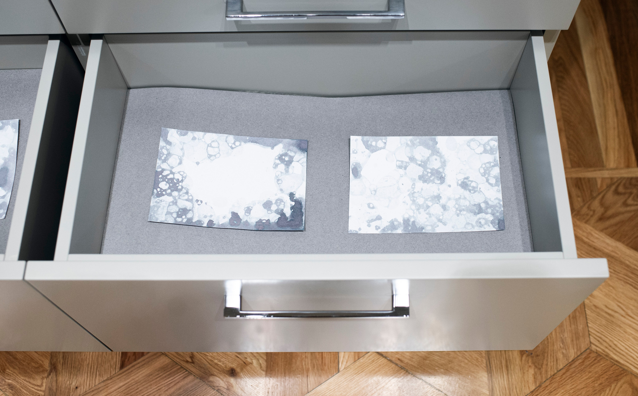 Выставка в доме Третьяковых. Фотограф в Москве Алейникова Евгения