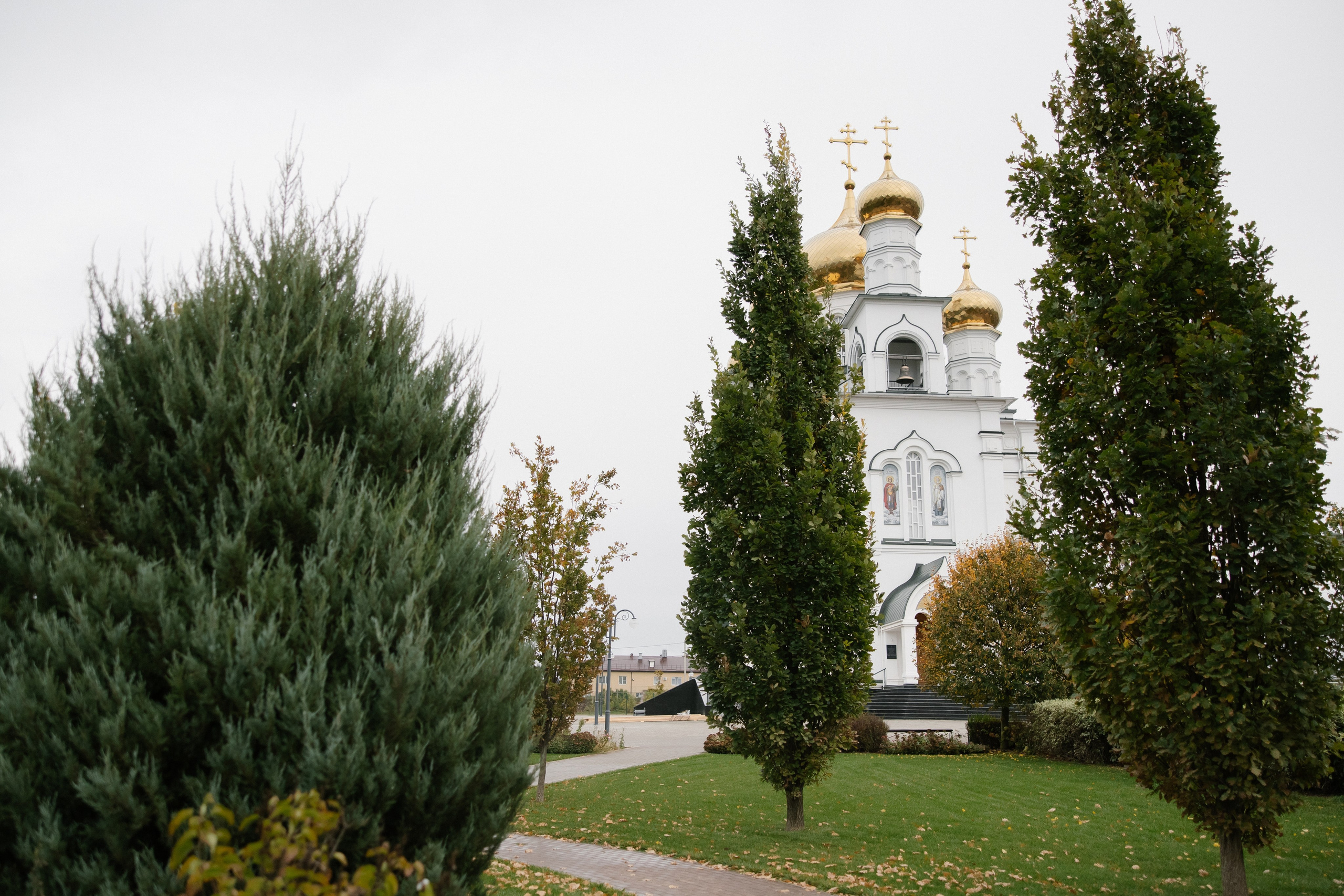 Яна и Максим. Свадебный и Семейный фотограф в городе Тимашевск и Краснодар