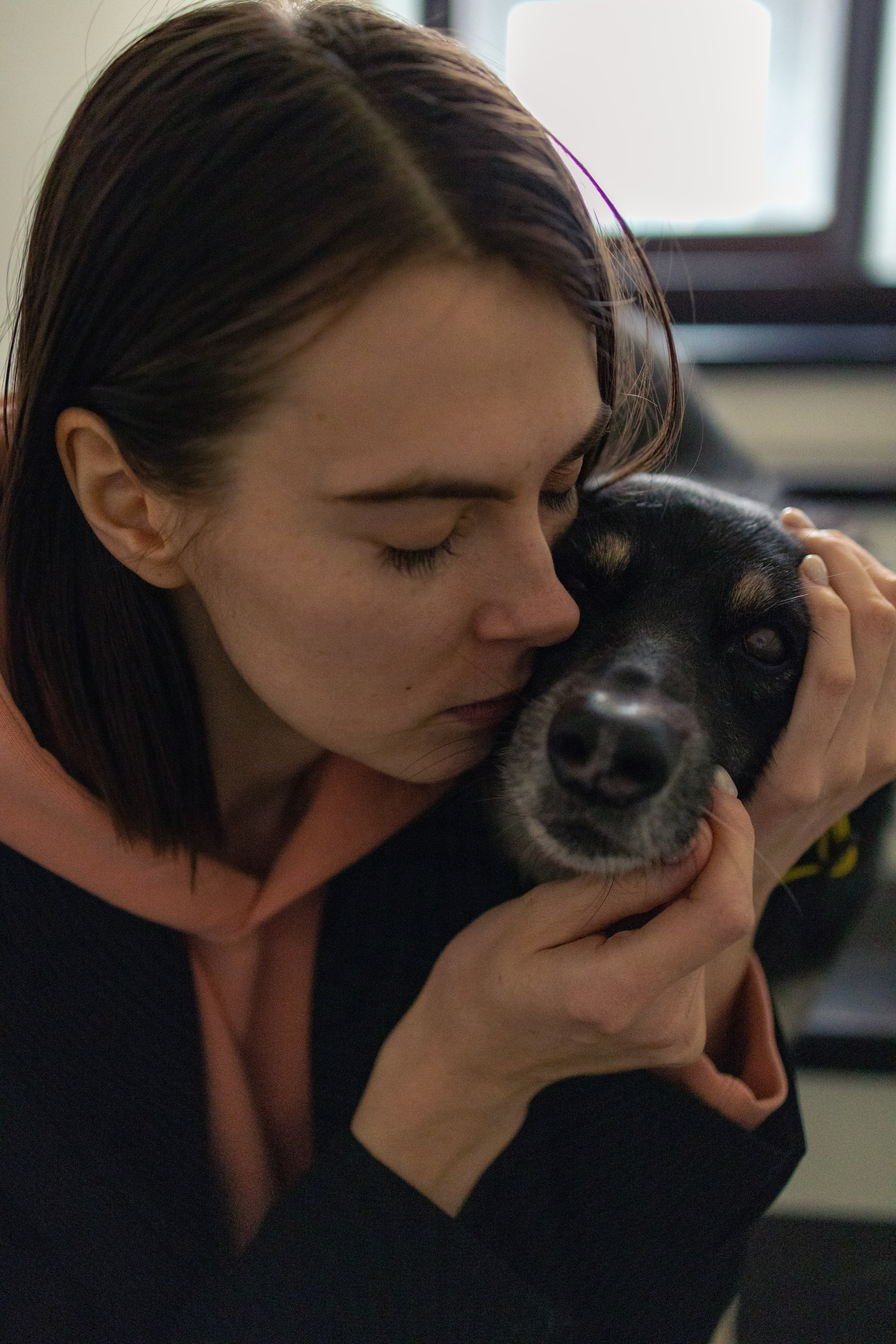 Ника, Матиша и Герда. Фотограф-анималист в Москве Лера Черноног