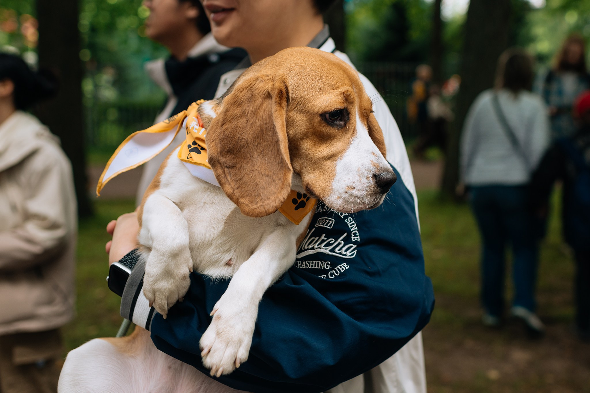 PETSHOP DAYS. Июнь 26. Репортажный фотограф в Санкт-Петербурге Анастасия Клёпова