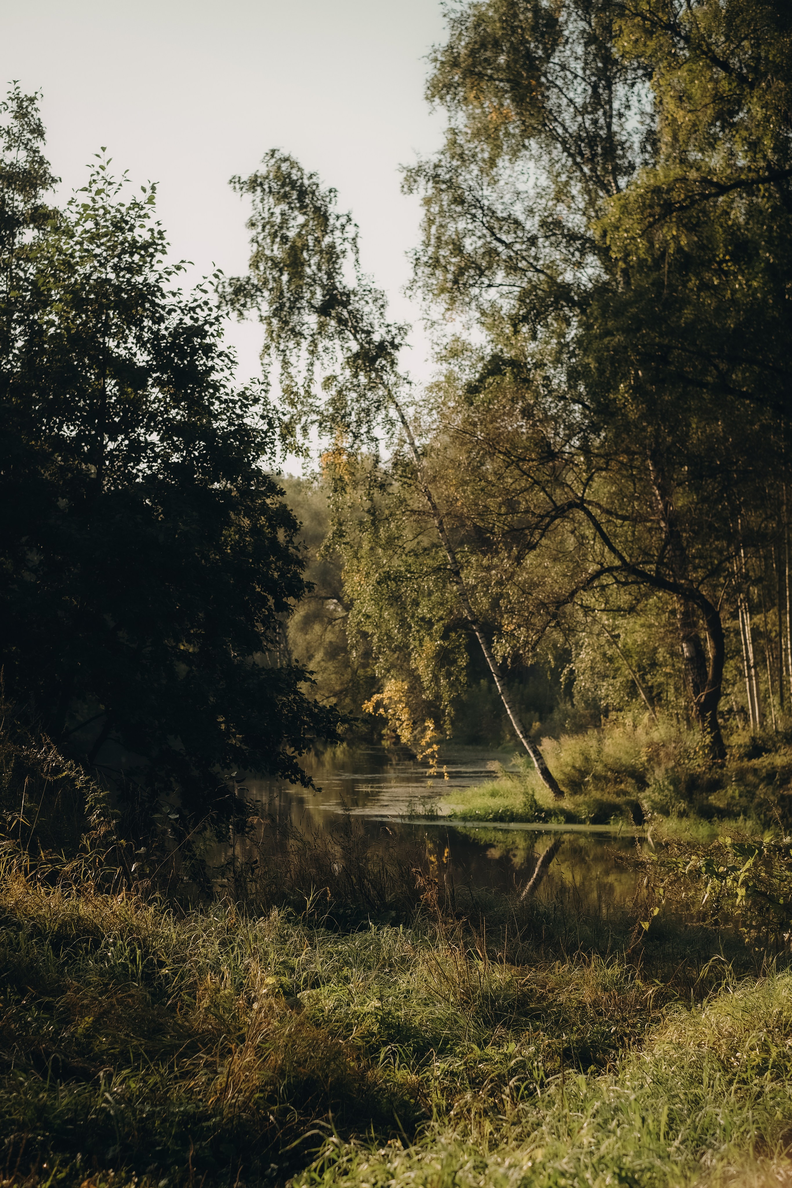 Рассветная на Клязьме. Свадебный и семейный фотограф в Москве Инника Кетлер