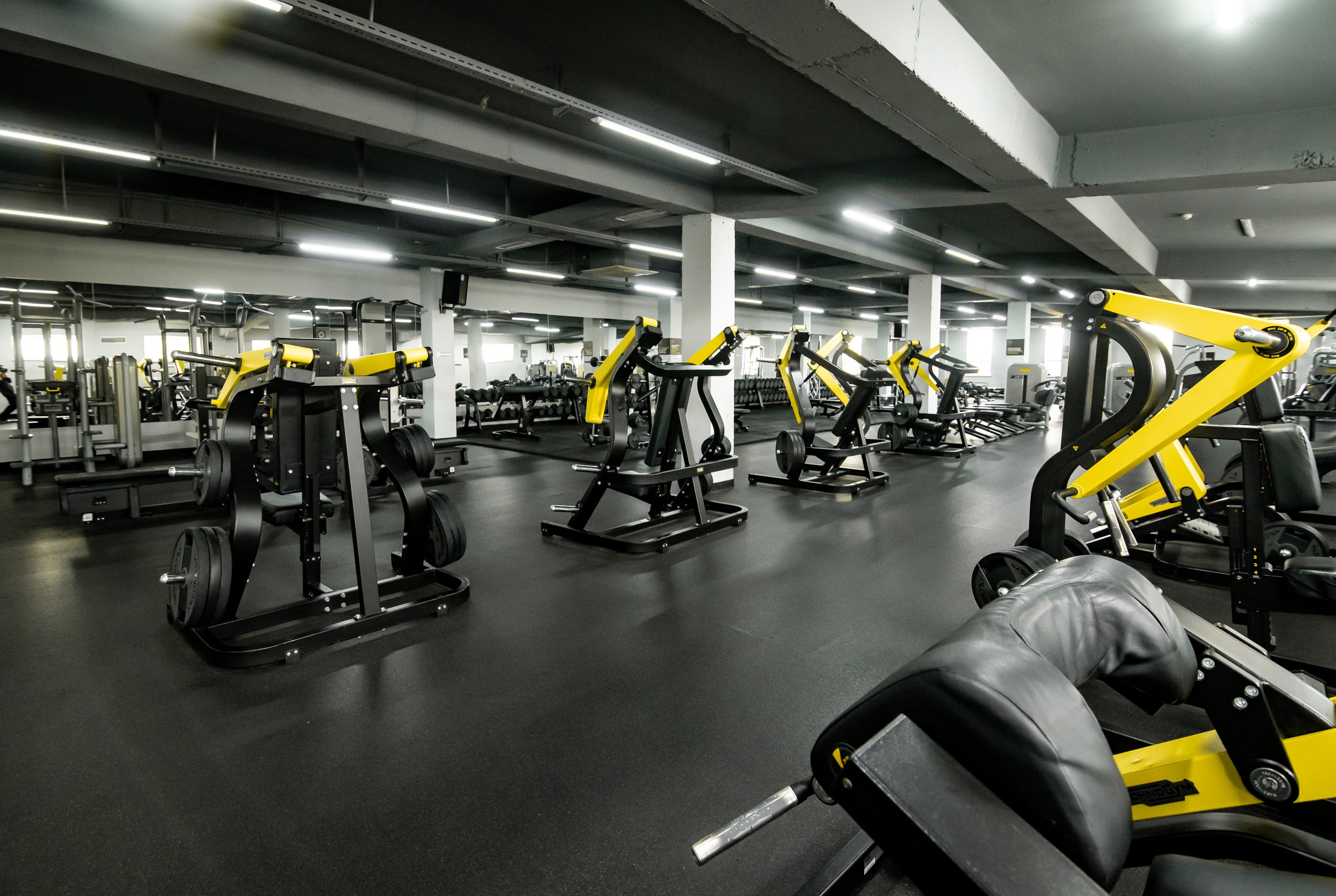 Alex Fitnes. Главная