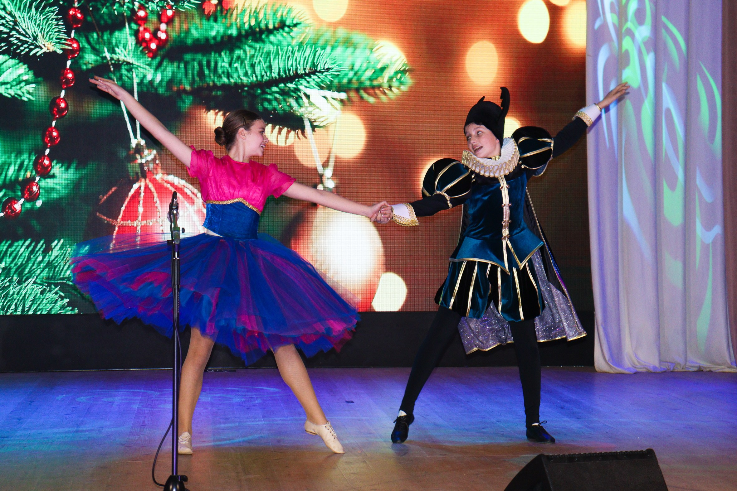 Новогодний концерт Шишли-Мышли