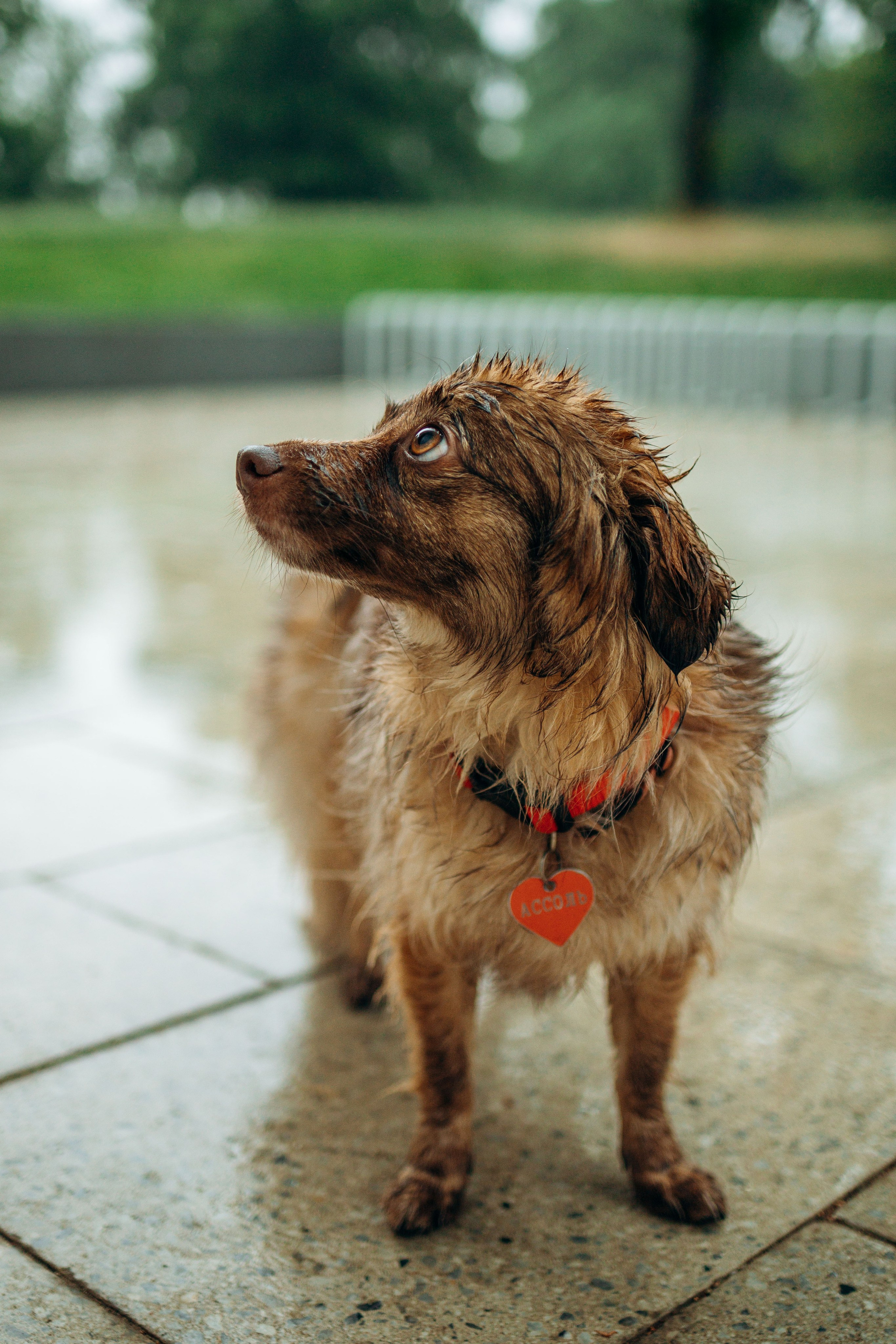 Дарья и Ассоль