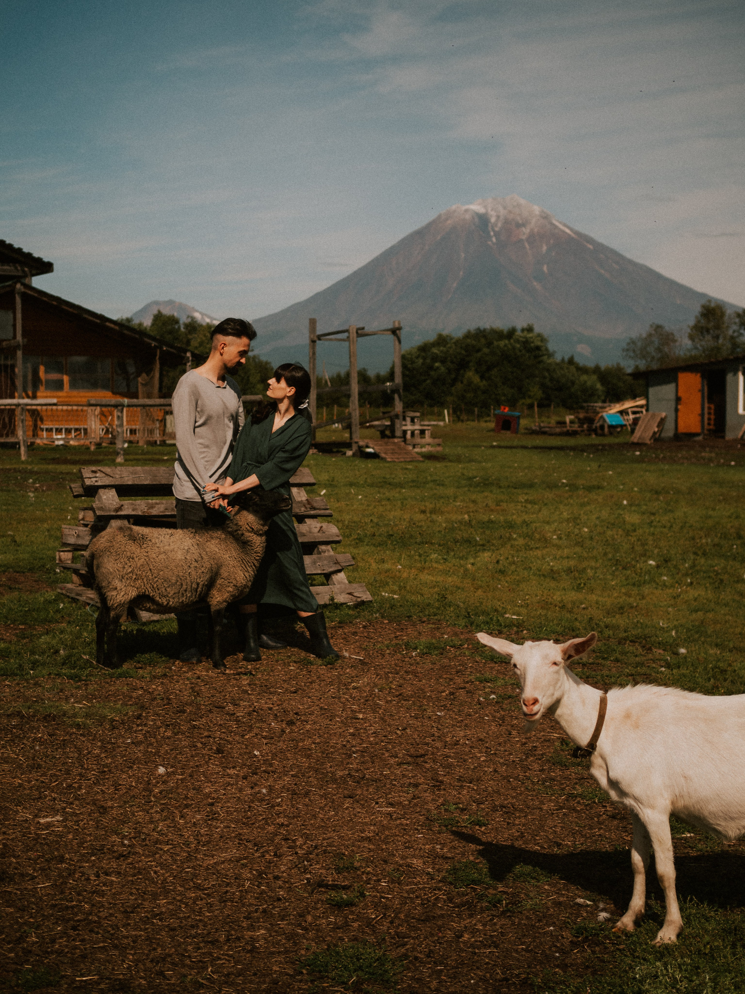 НА ФЕРМЕ. Фотограф в Санкт-Петербурге Эллис