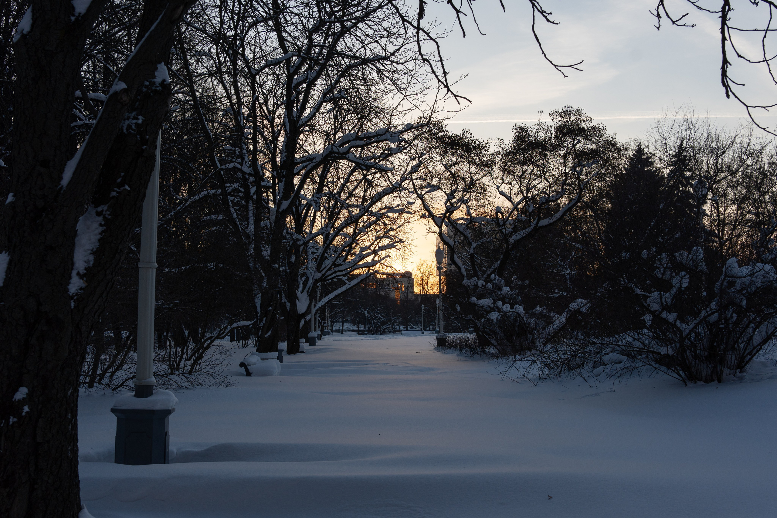 20260118 МГУ. Дмитрий Ремизов. Фотография, как хобби