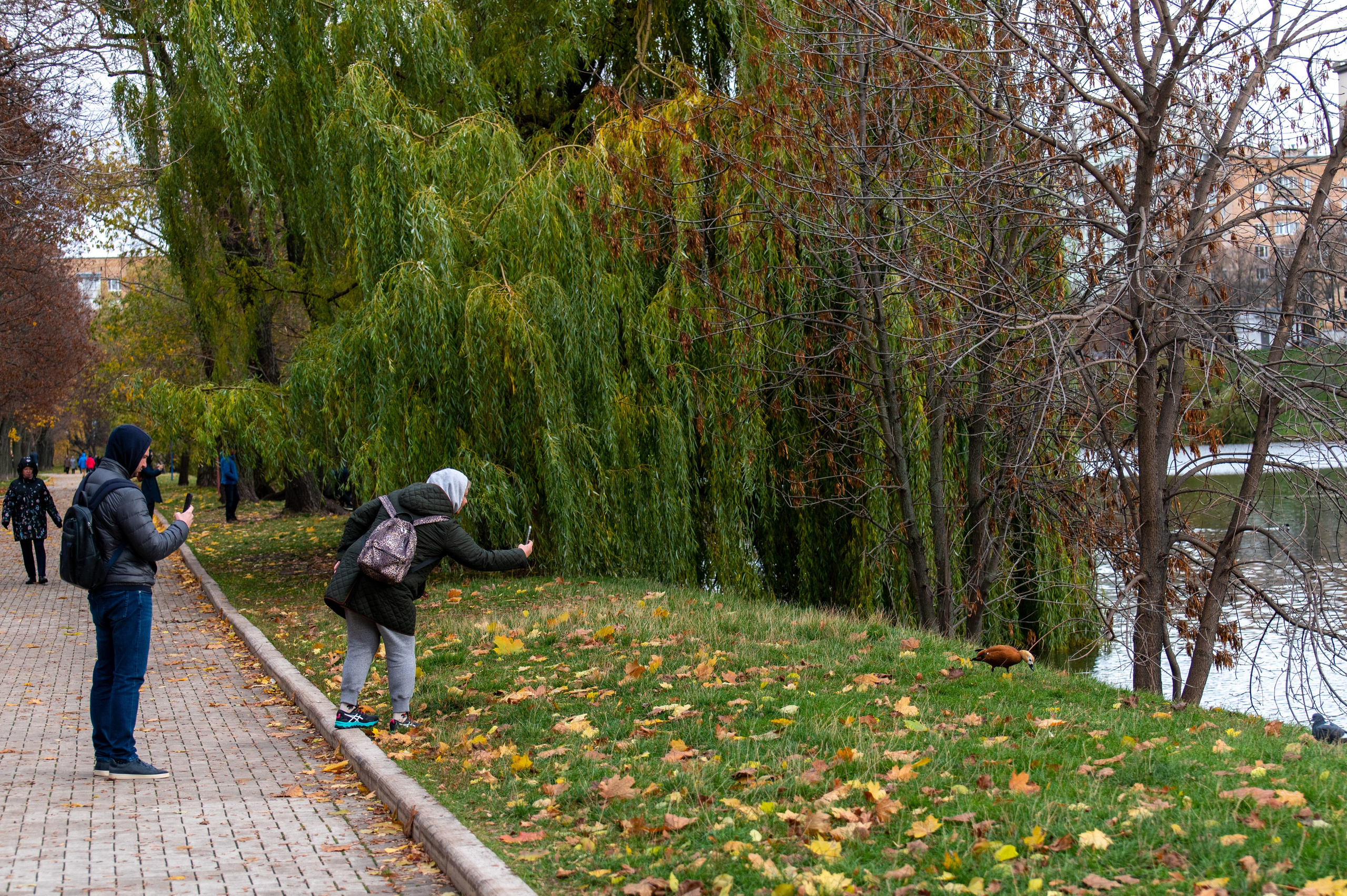 20221030 Новодевичий. Дмитрий Ремизов. Фотография, как хобби