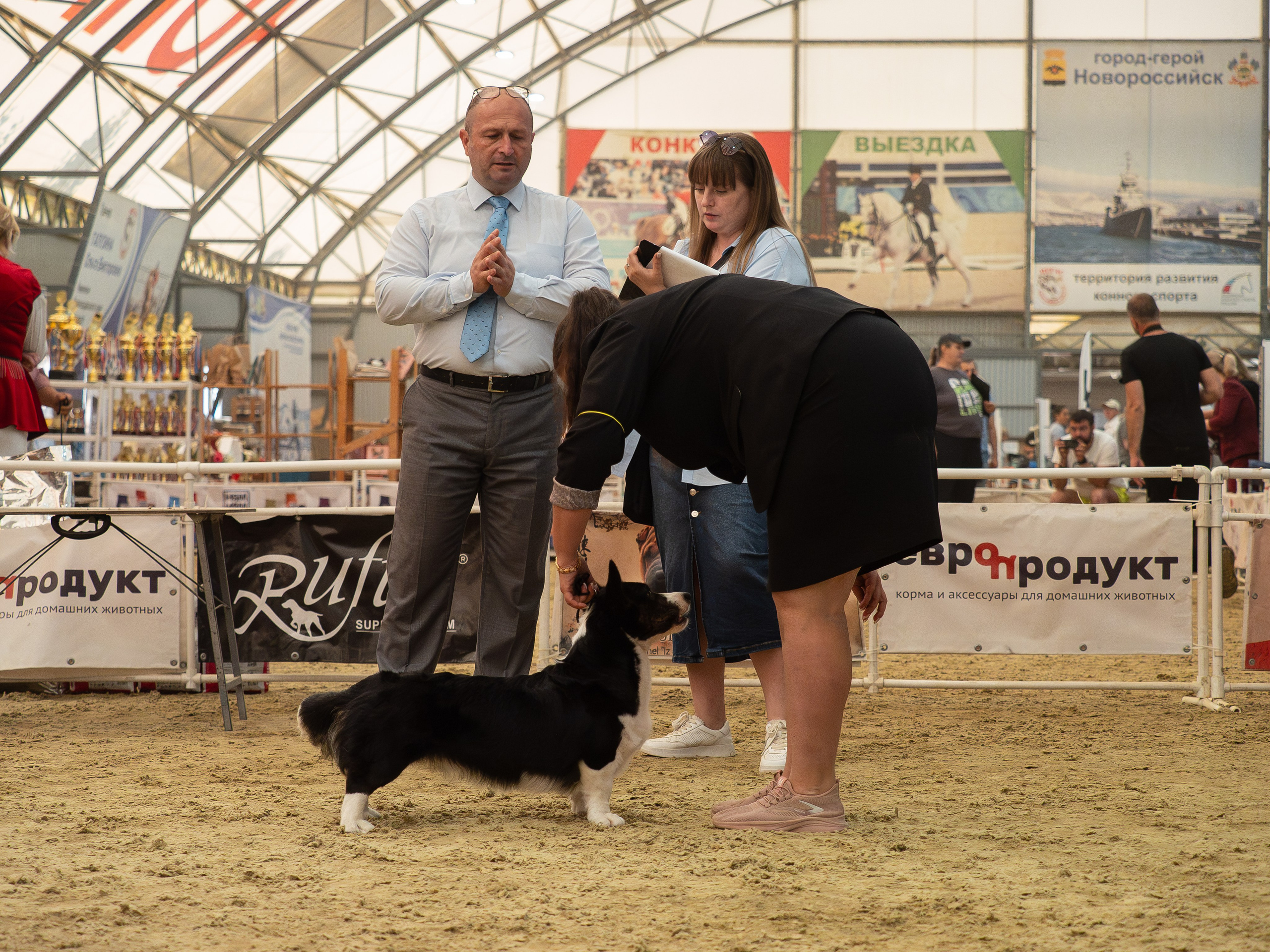 Репортажная съемка выставок. Фотограф анималист Тюгаева Мария