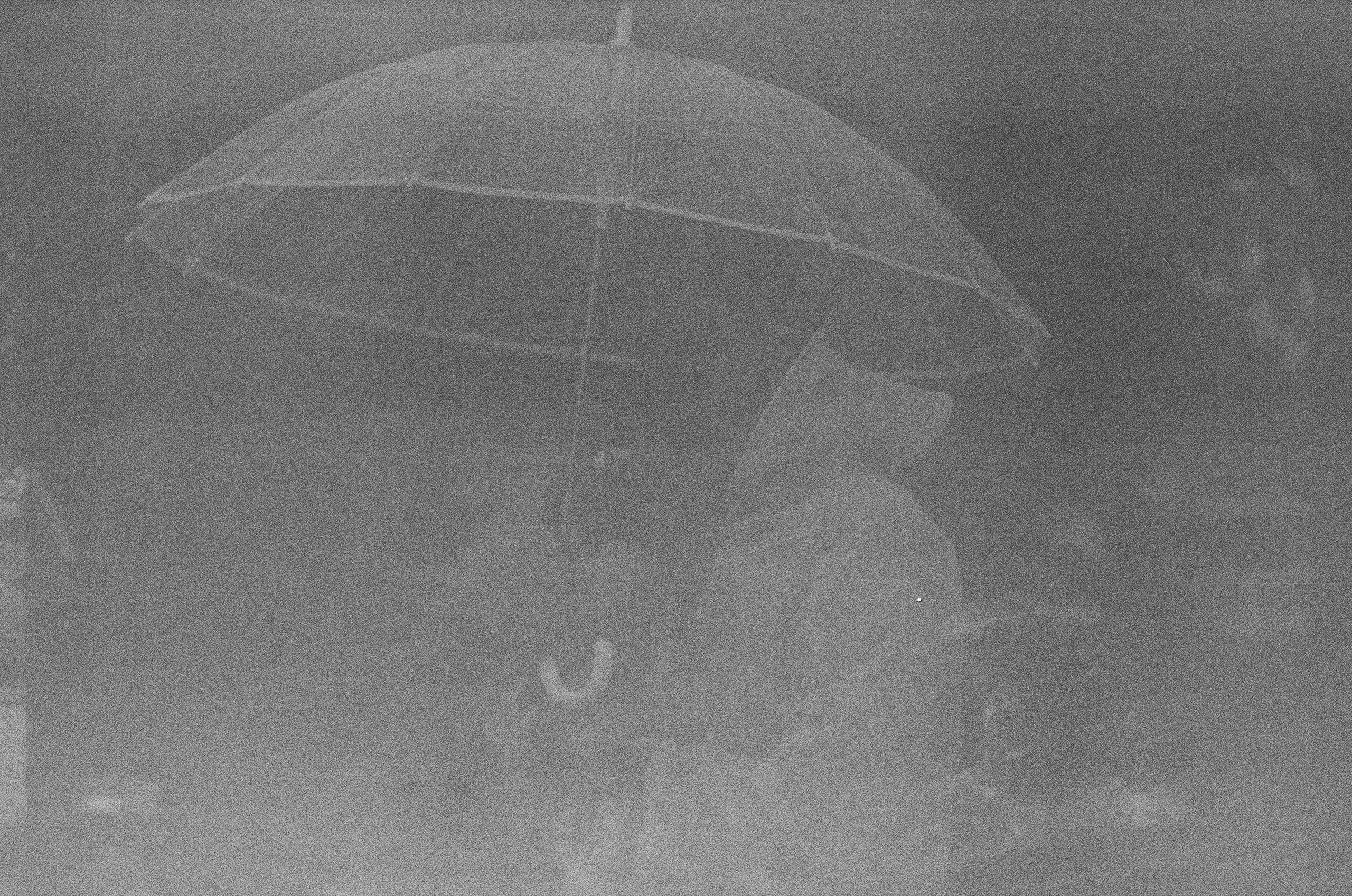 Пленочные фотографии исчезли во время съемки ТВ передачи