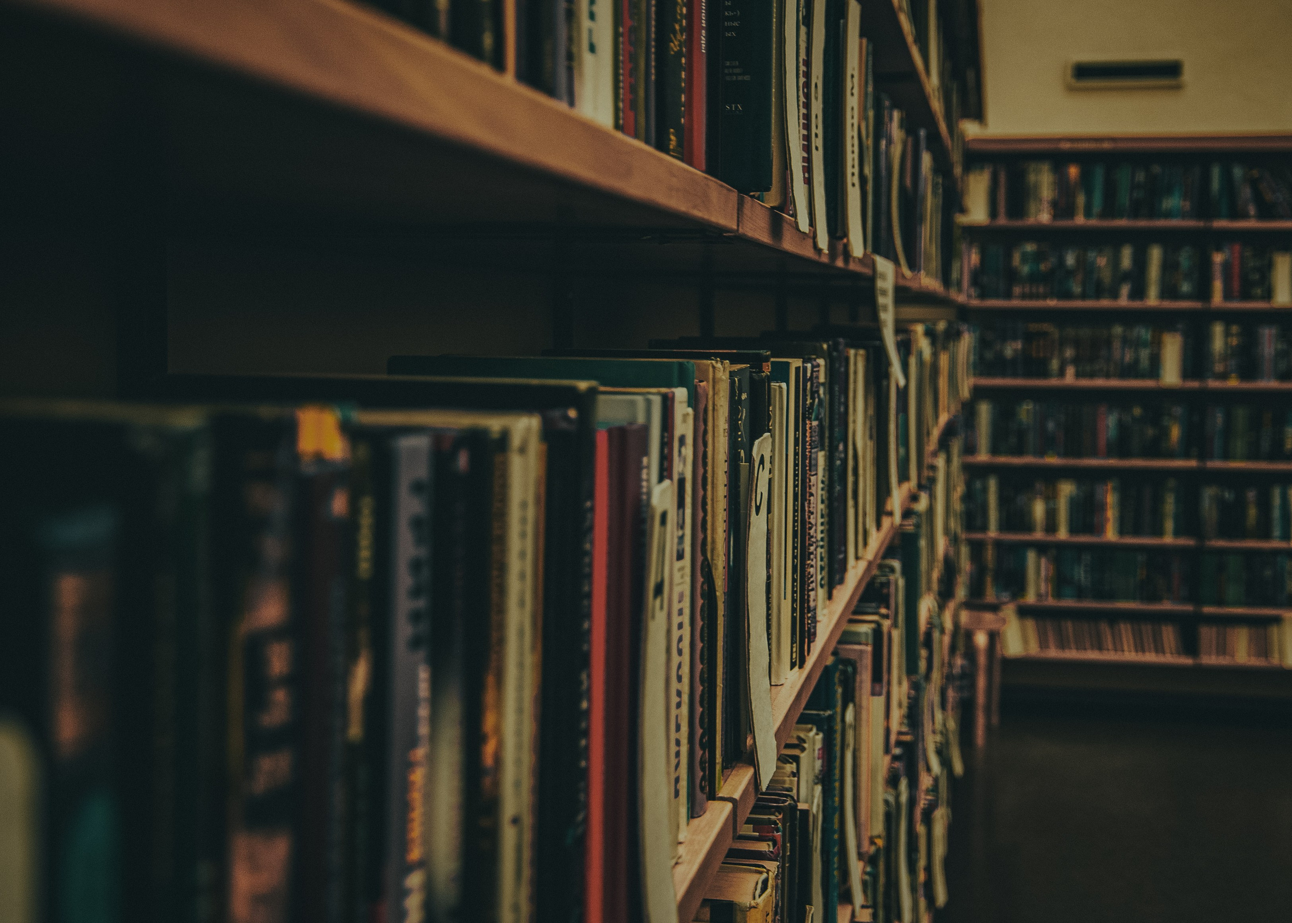 Выборг. Портретный фотограф DanilNabody