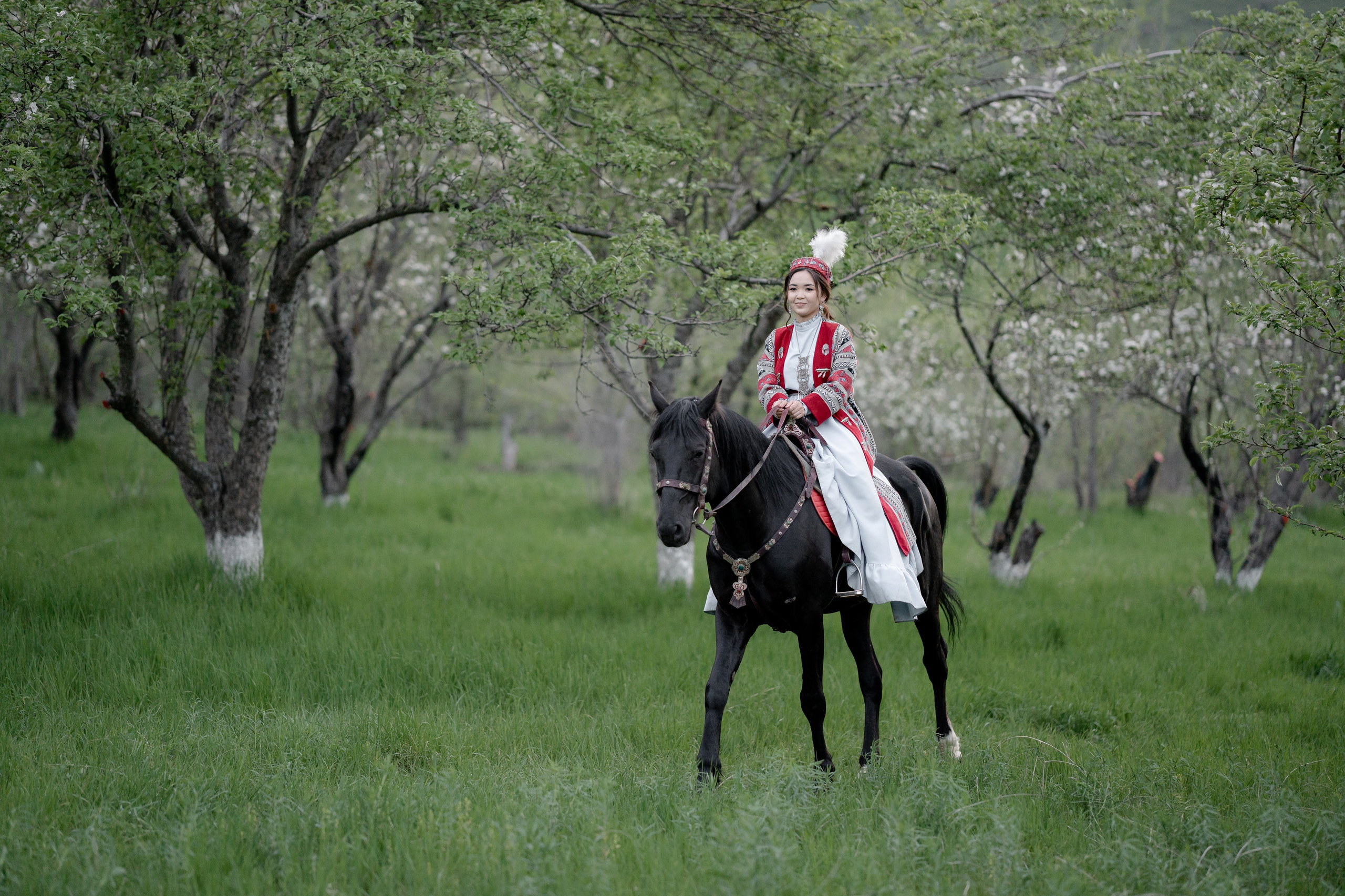 Shattyq Uzatu. Galam media