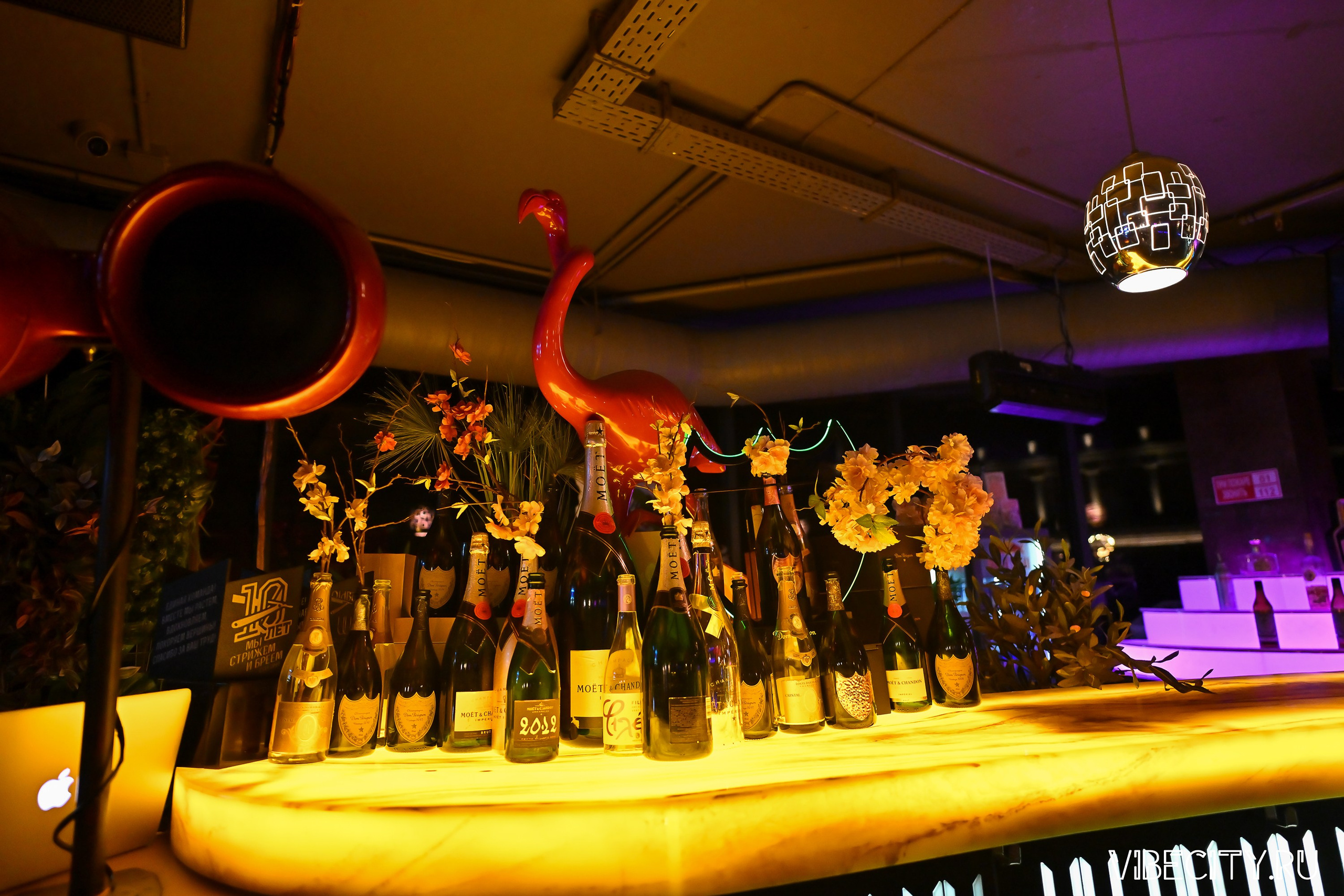 DOUBLE U. VIBECITY.RU Вайб Сити Ру Фоторепортажи Фотоотчеты Калининград