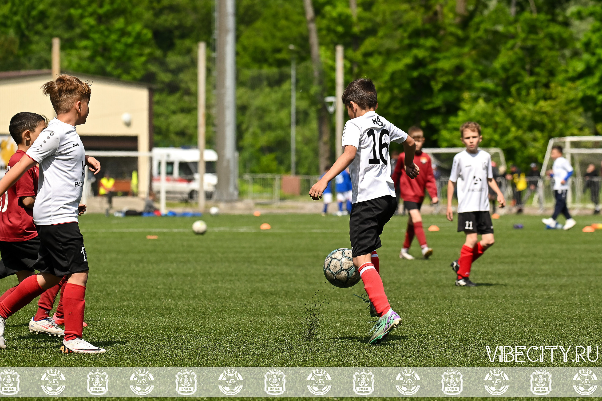 Большие Звезды светят Малым. VIBECITY.RU Вайб Сити Ру Фоторепортажи Фотоотчеты Калининград