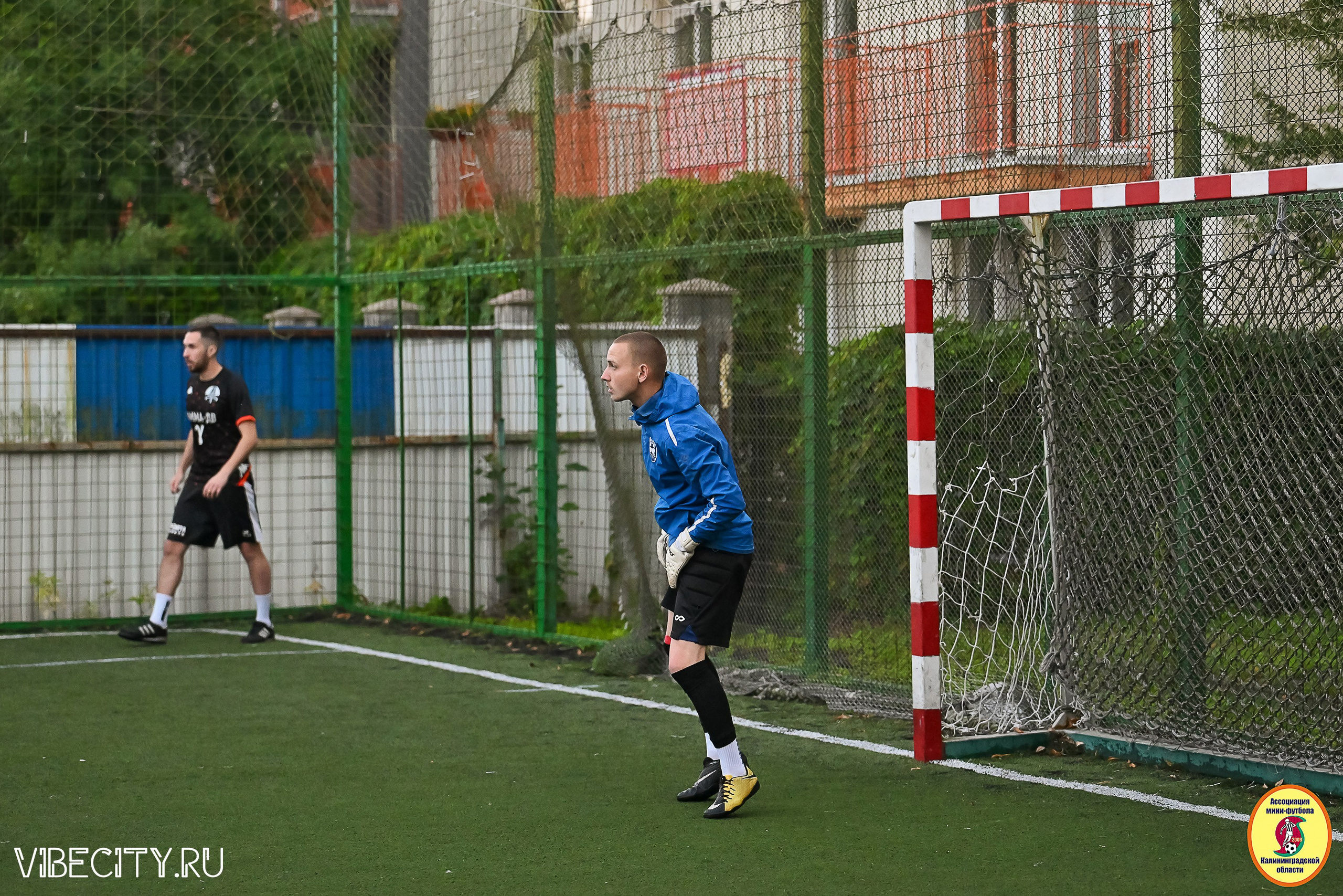ИГРЫ ПЛЕЙ-ОФФ ПЕРВОГО ДИВИЗИОНА МИНИ-ФУТБОЛЬНОЙ ЛИГИ. VIBECITY.RU Вайб Сити Ру Фоторепортажи Фотоотчеты Калининград