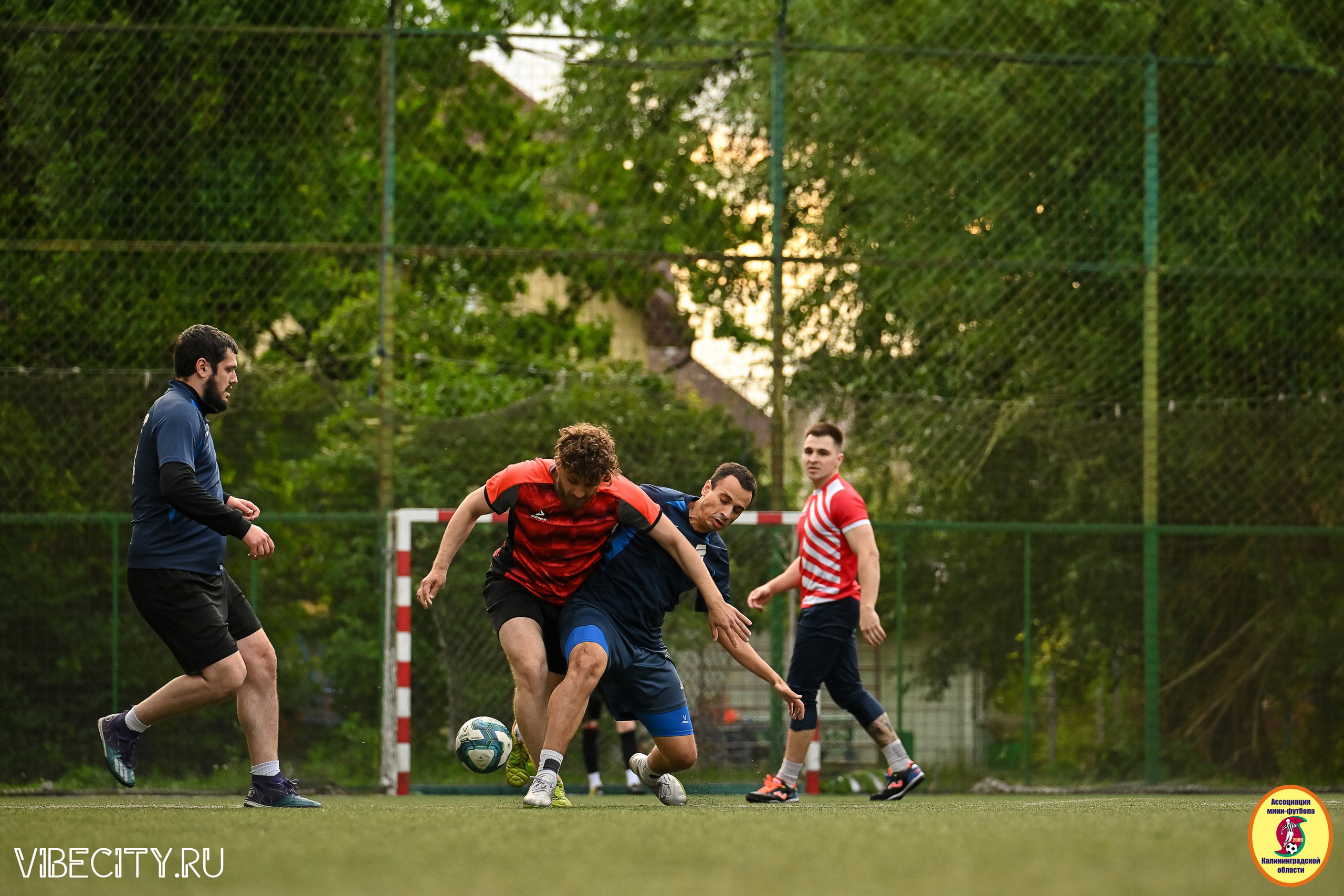 ИГРЫ МИНИ-ФУТБОЛЬНОЙ И КОРПОРАТИВНОЙ ЛИГИ. VIBECITY.RU Вайб Сити Ру Фоторепортажи Фотоотчеты Калининград