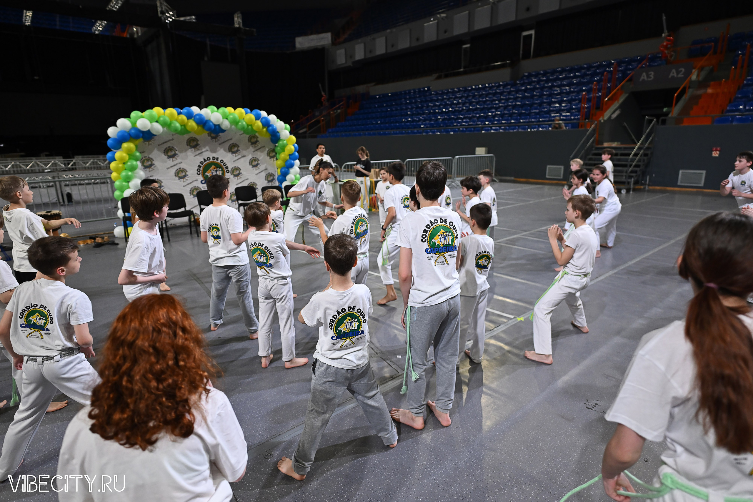 Капоэйра. Вручение поясов. VIBECITY.RU Вайб Сити Ру Фоторепортажи Фотоотчеты Калининград