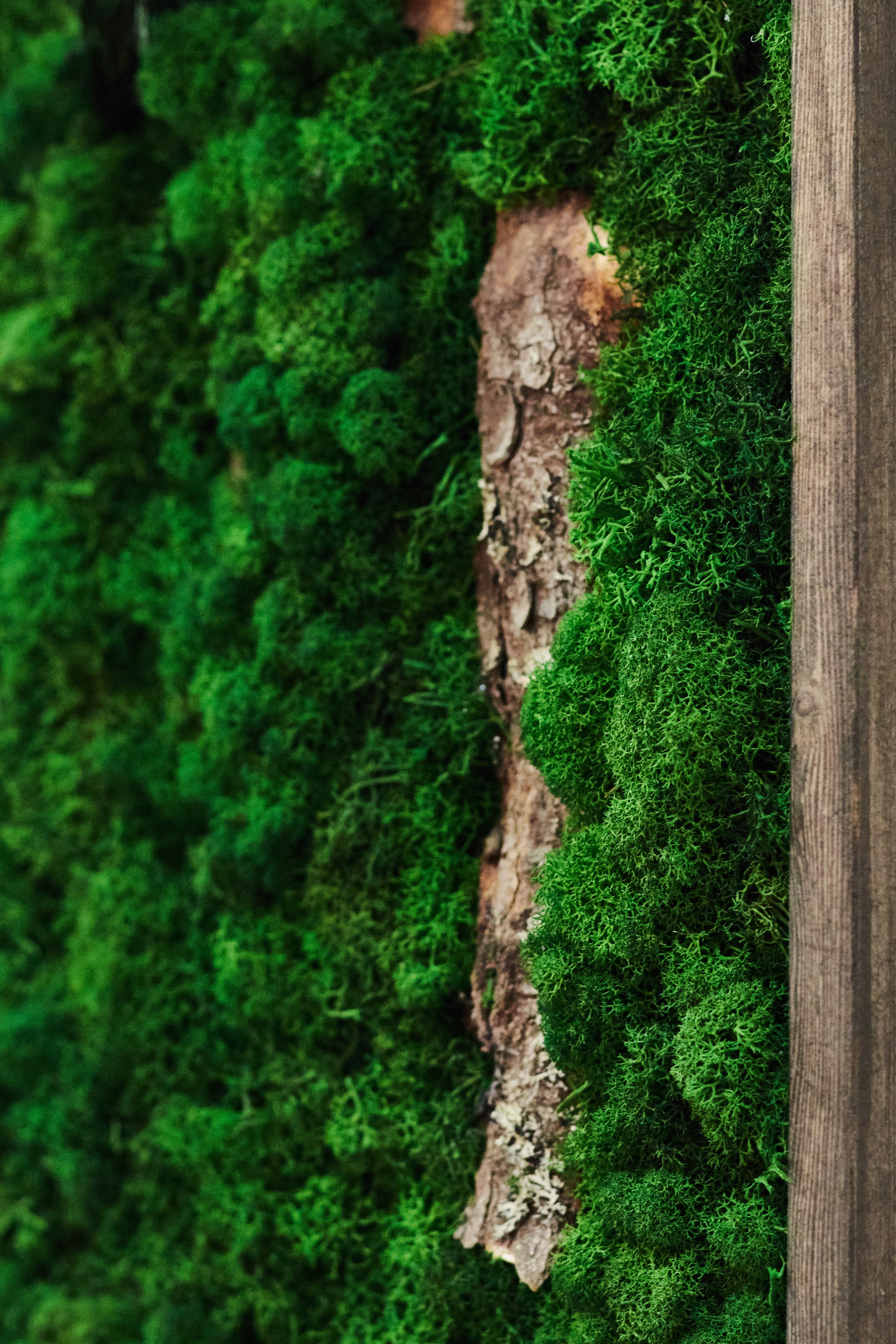 Интерьерная съёмка. Фотограф в Волгограде Соколова Вера