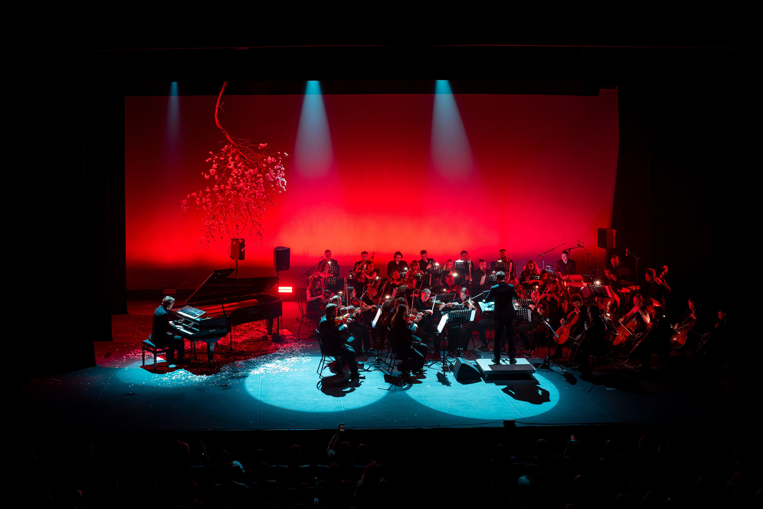 Никола Мельников / 2024. OOPS