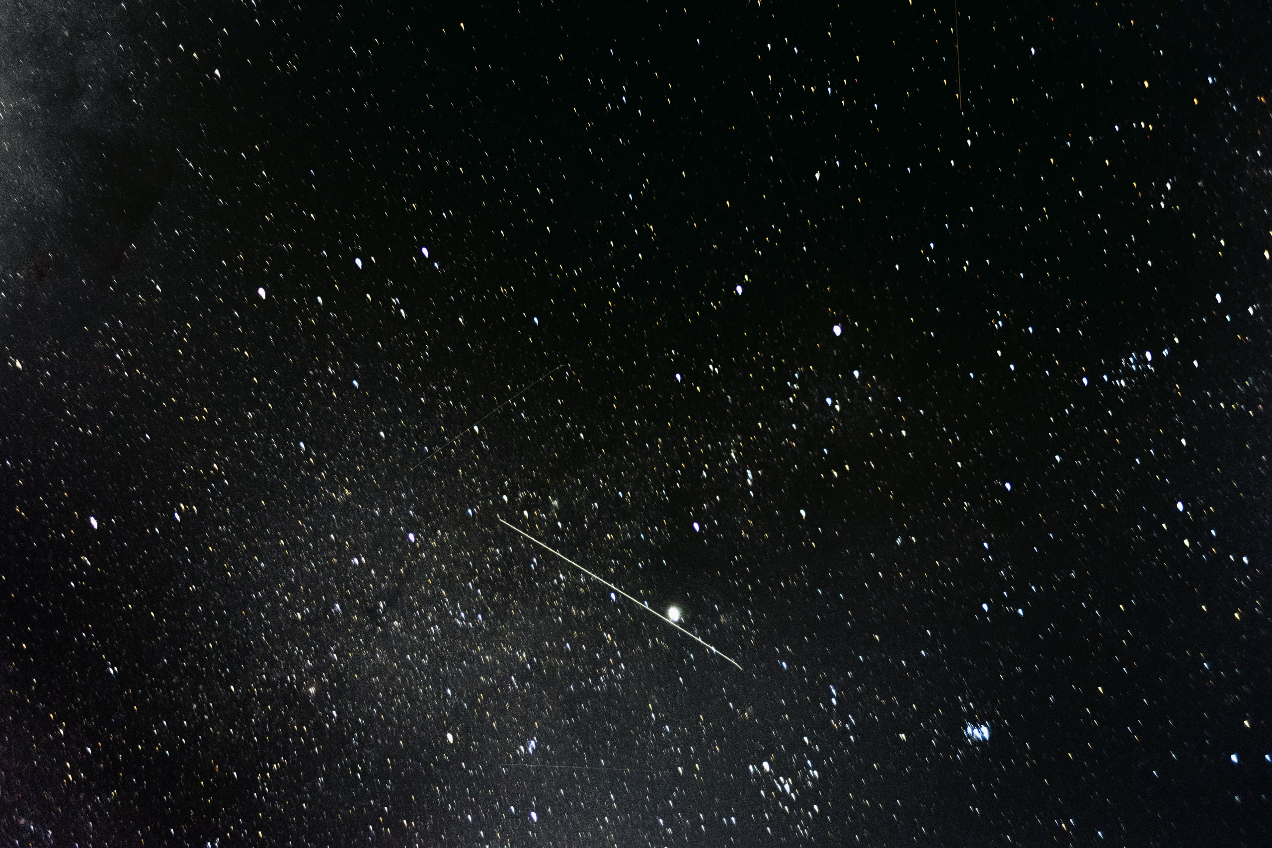 Природа. Спортивный фотограф Тремпольцева Анна