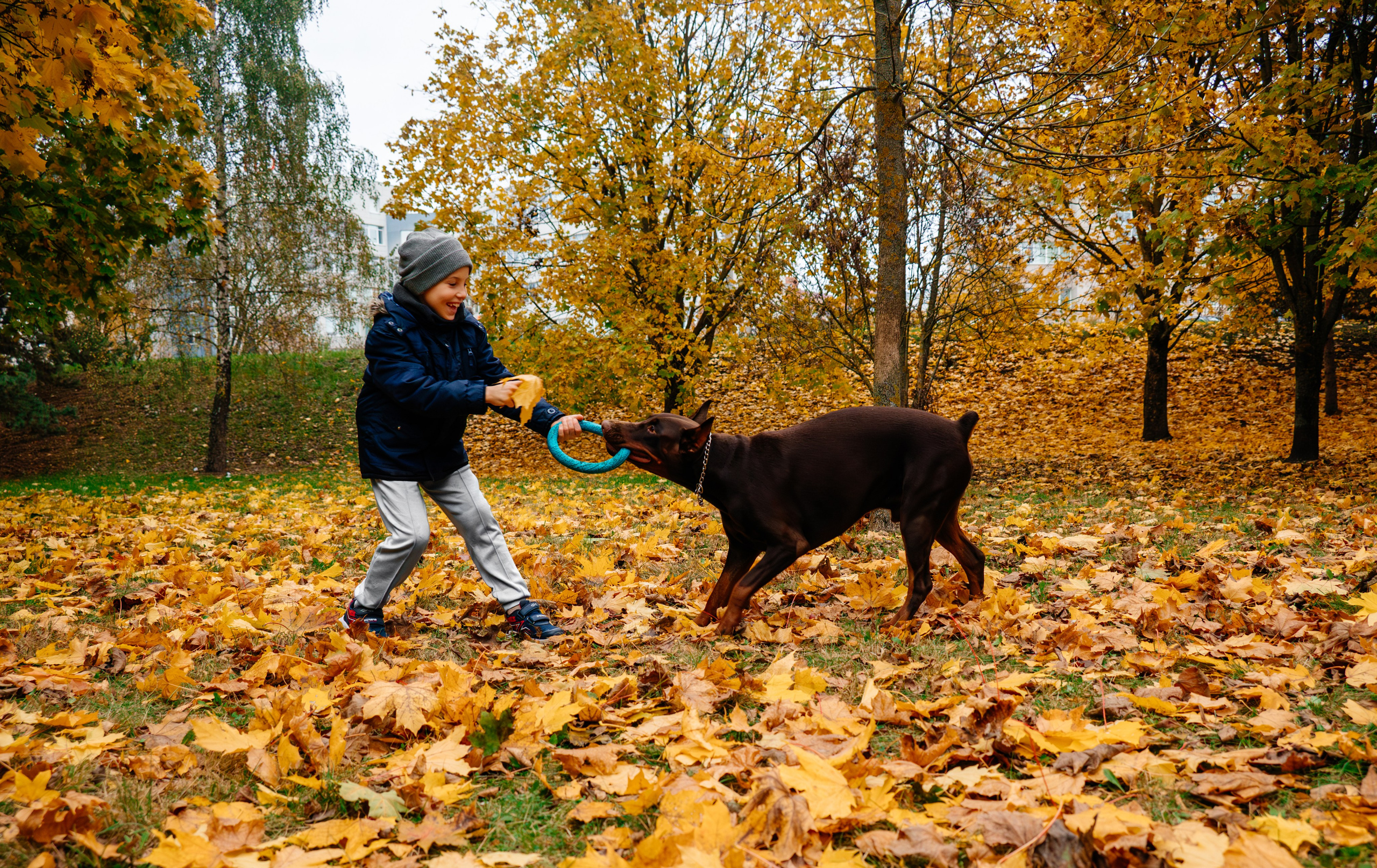 Семья Стенцель. Юлия Чайко, фотограф в Минске