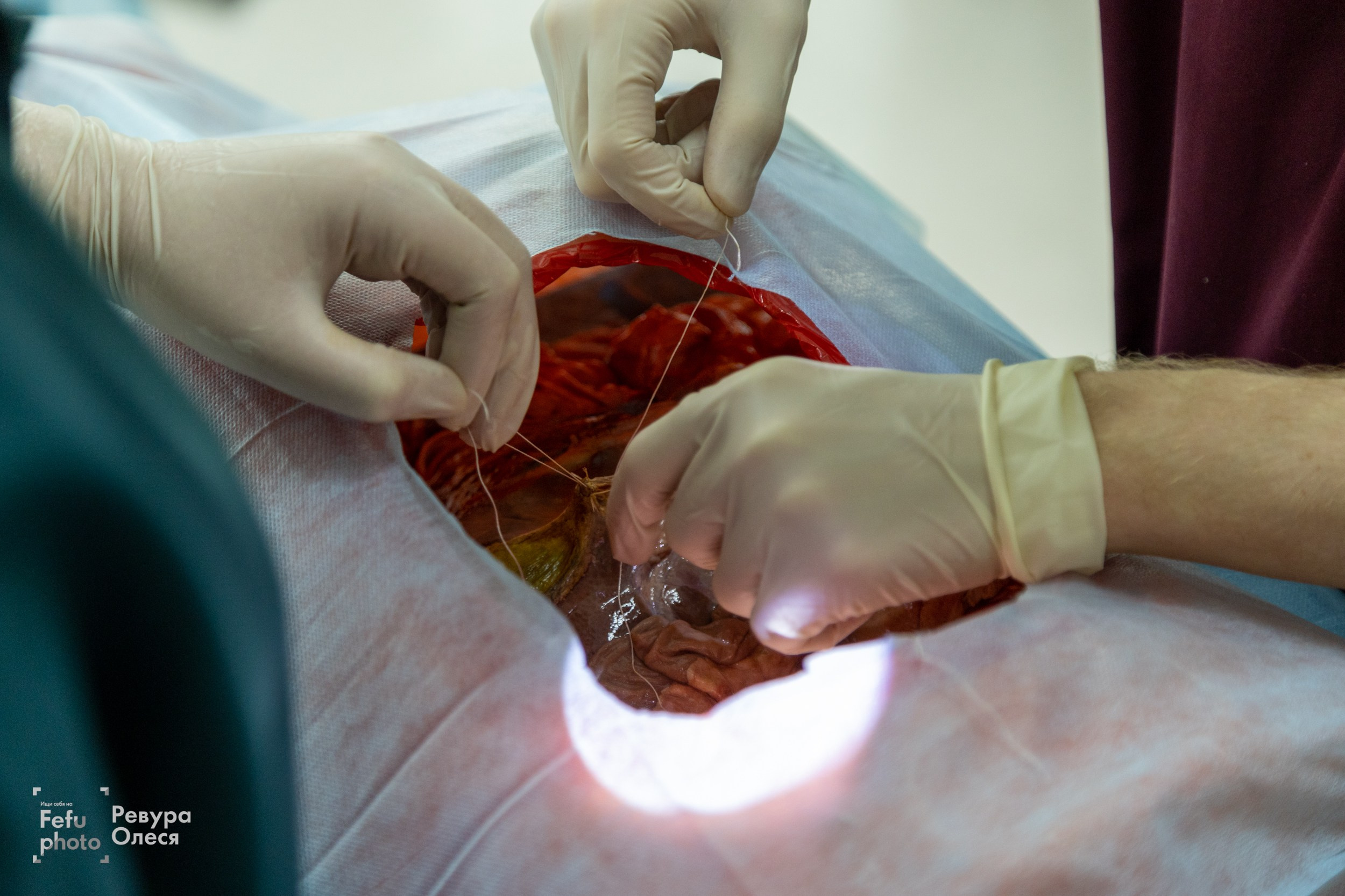 2-я Региональная олимпиада по хирургии. Репортажный и портретный фотограф в Владивостоке