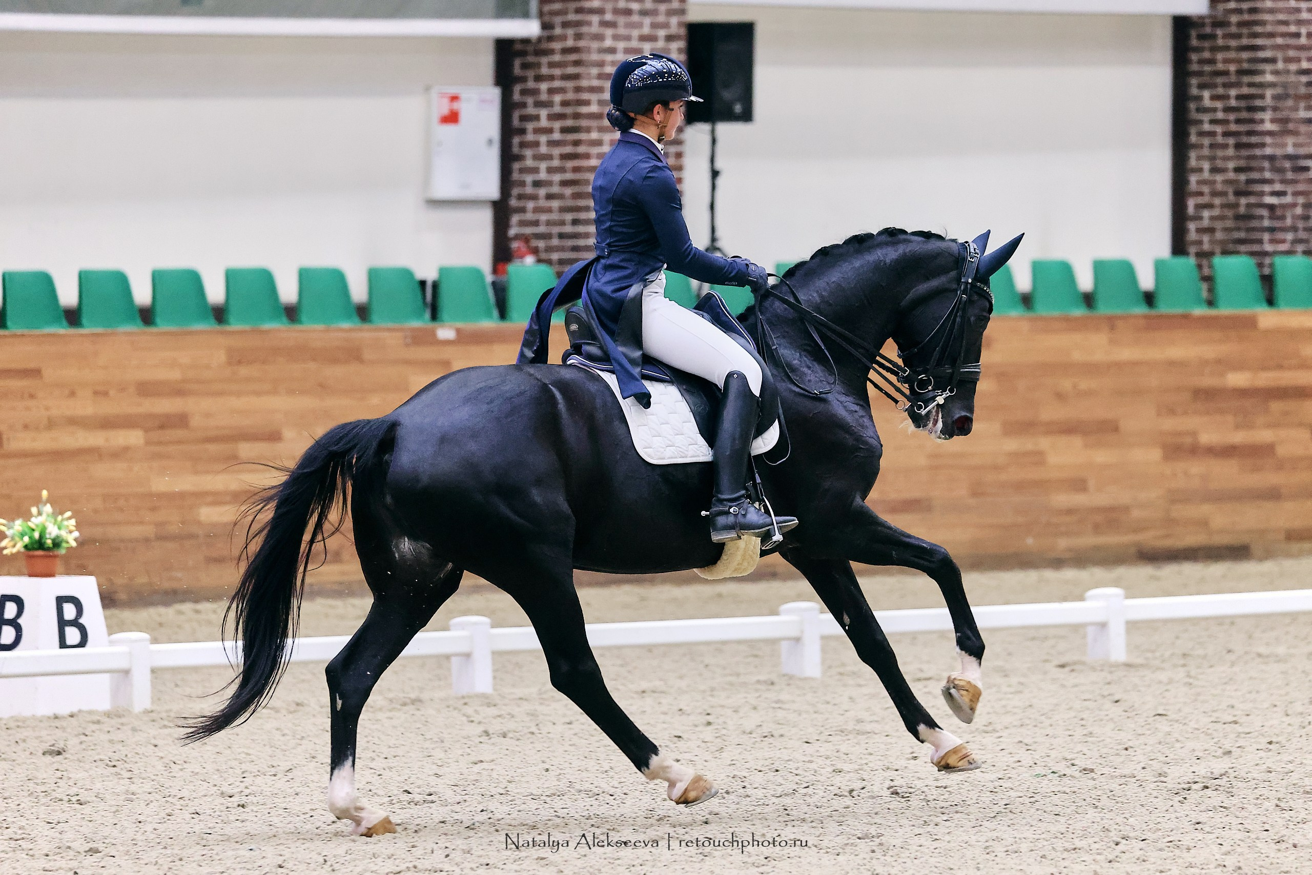 Финал Maxima Park по выездке, Maxima Stables | 10'2023. Репортажный фотограф и ретушер в Москве Наталья Алексеева