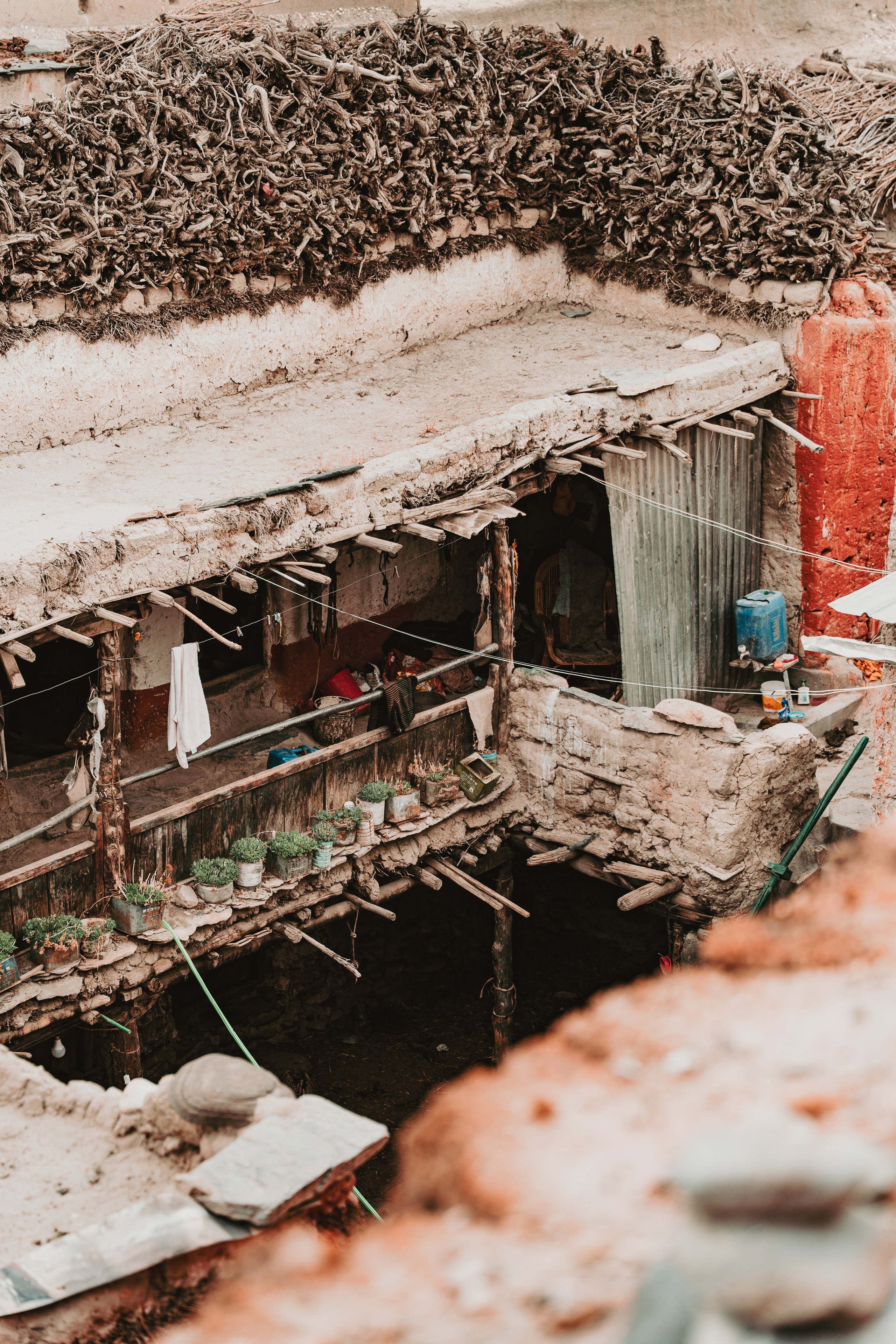 Королевство Мустанг. Dmitry Ippolitov