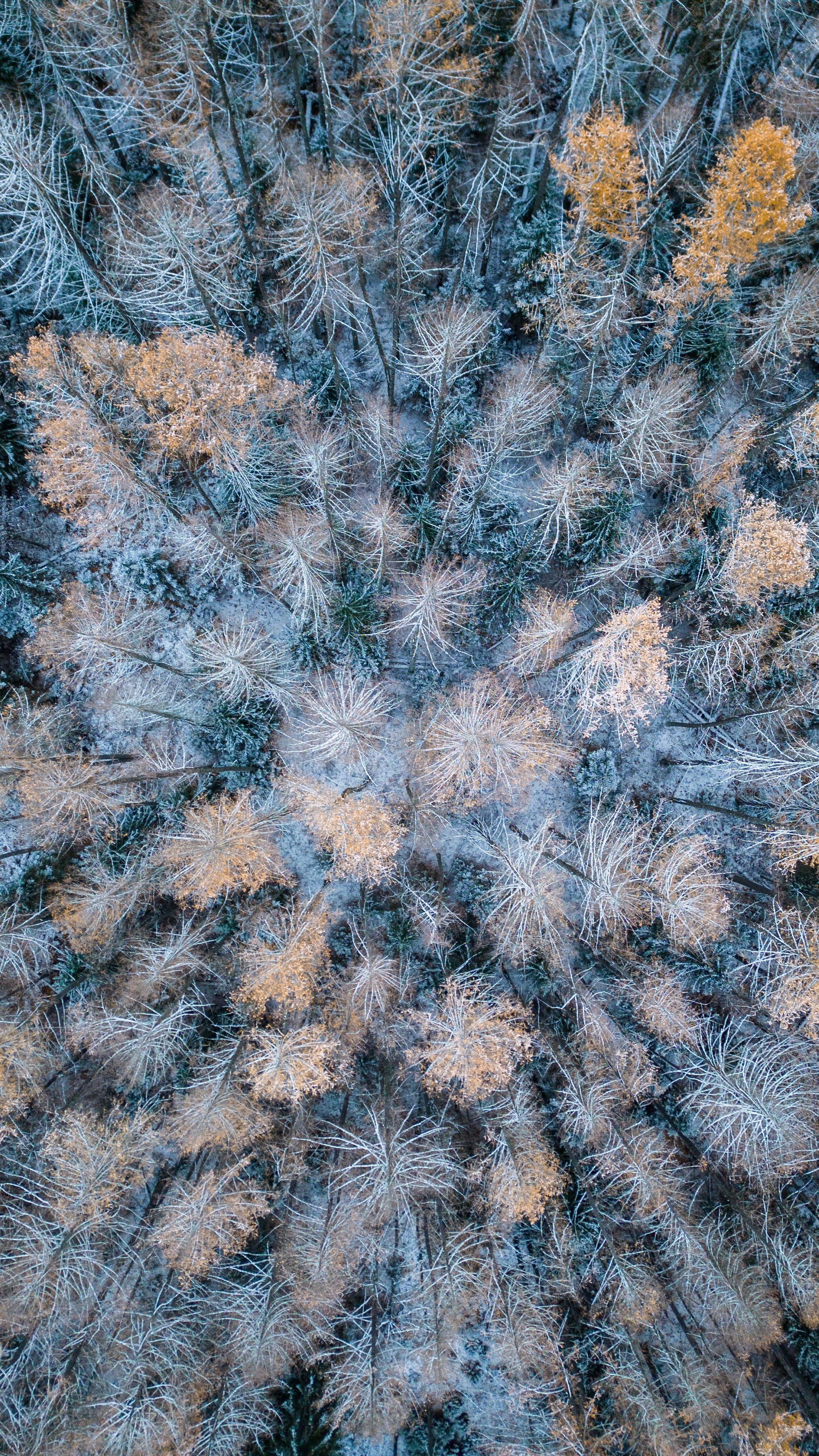 Аэрофотосъёмка. Креативный фотограф Алексей Лем