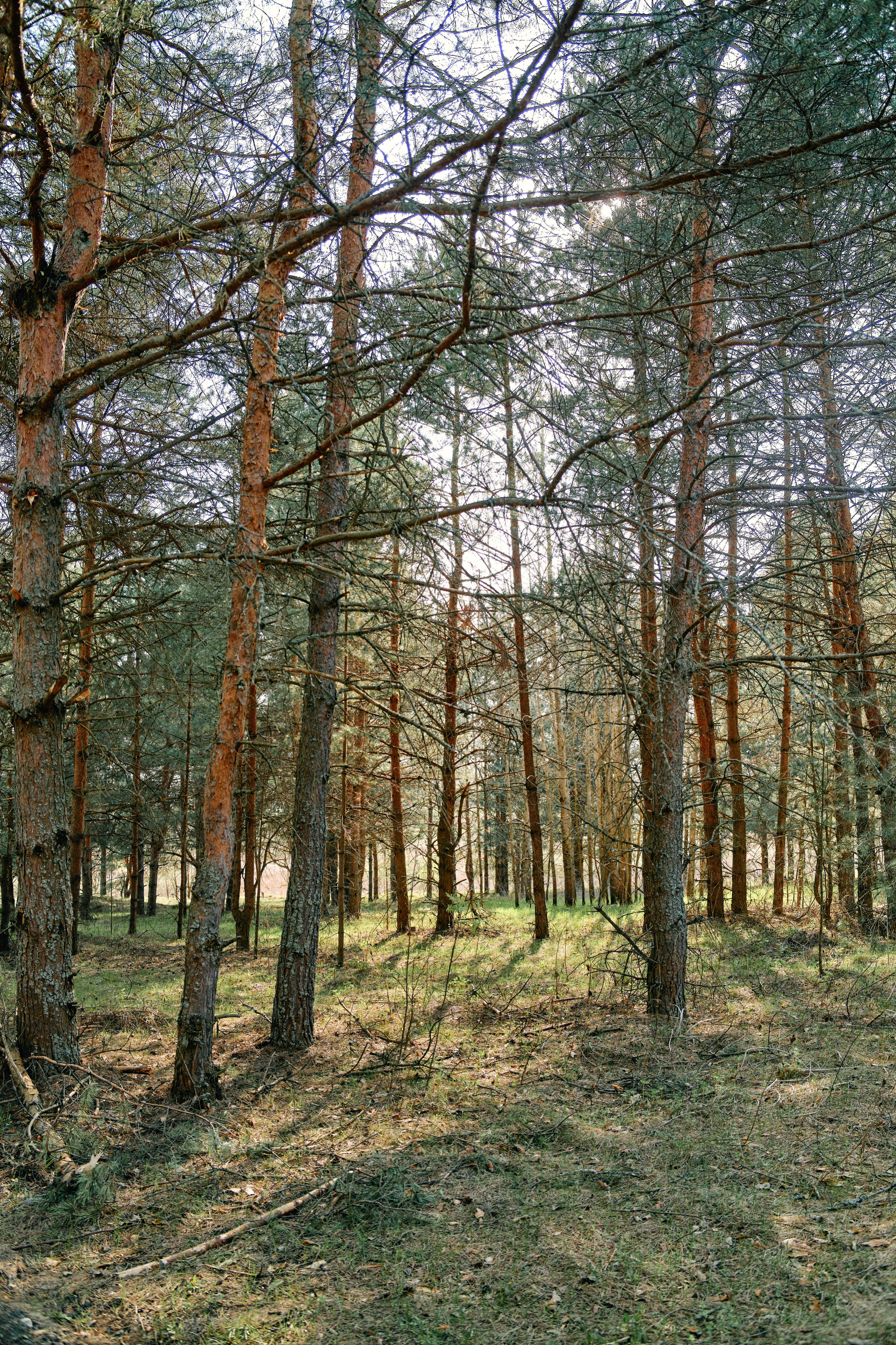 Бутик-отель Поле летом. Профессиональный Фотограф во Владимире, в Москве и в Суздале — Полина Романычева